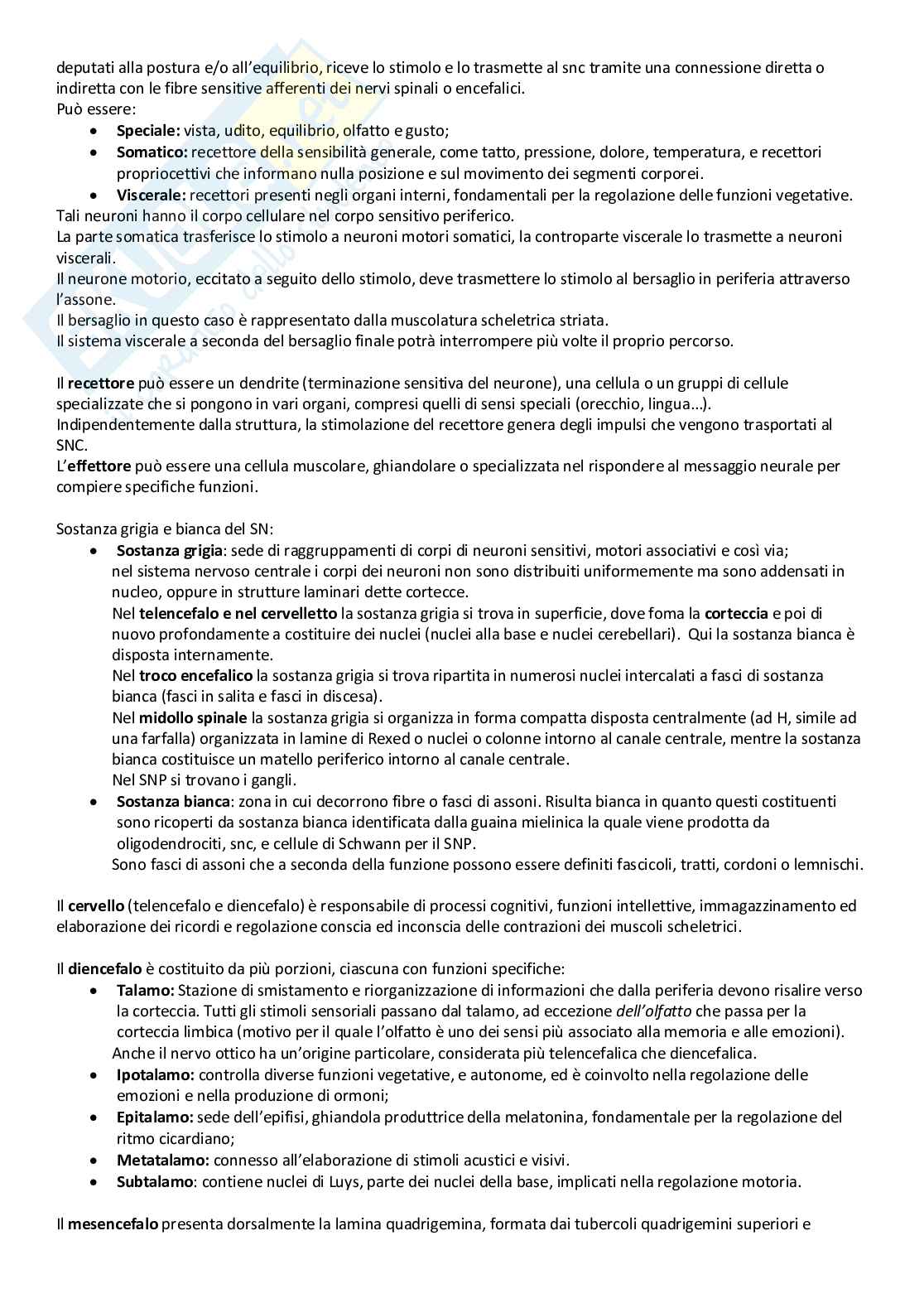 Sistema Nervoso Centrale Pag. 2