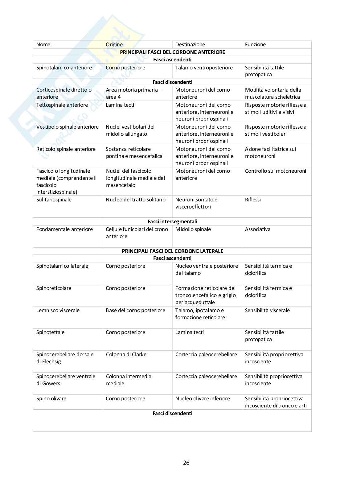 Sistema Nervoso Centrale Pag. 26