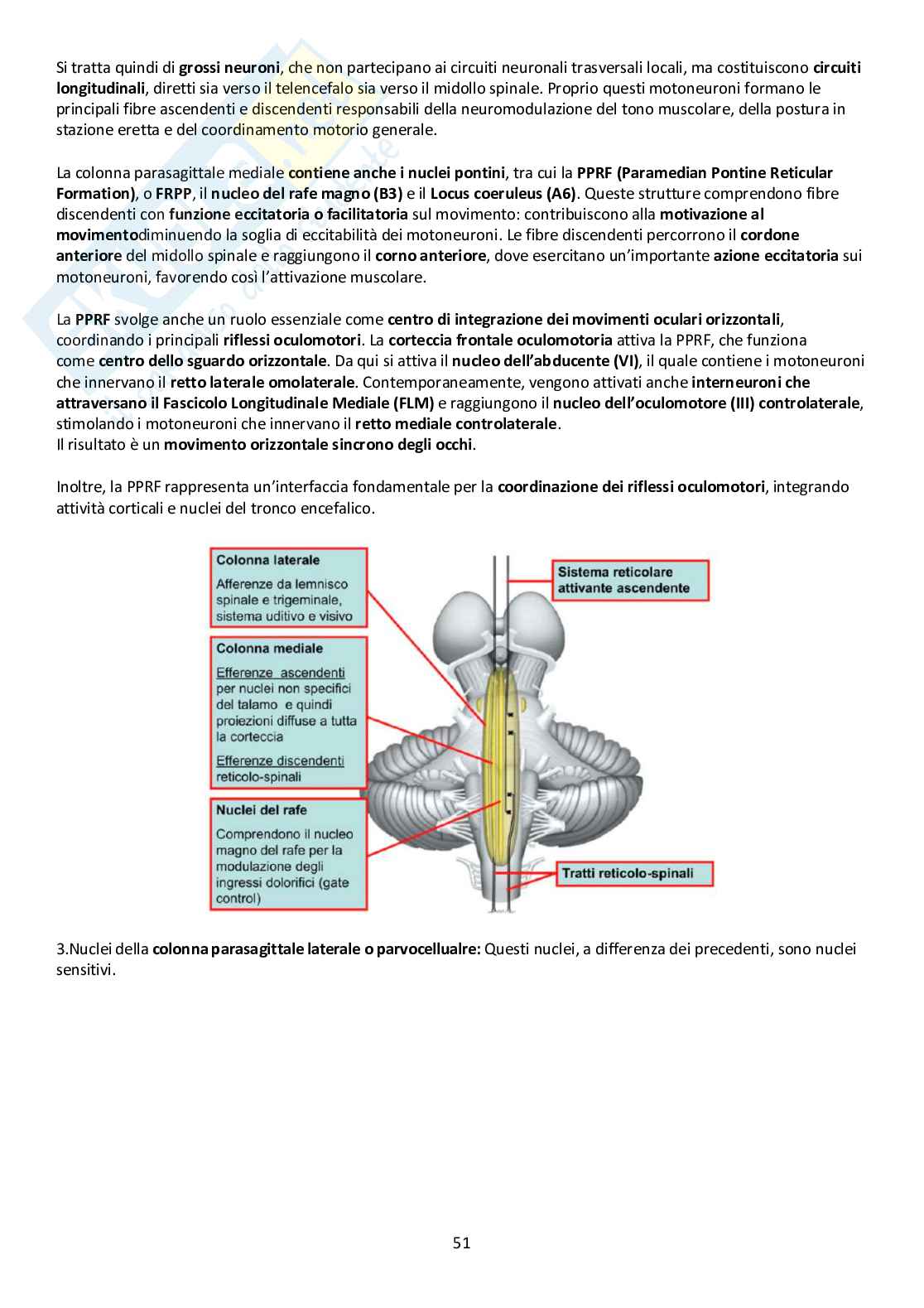 Sistema Nervoso Centrale Pag. 51