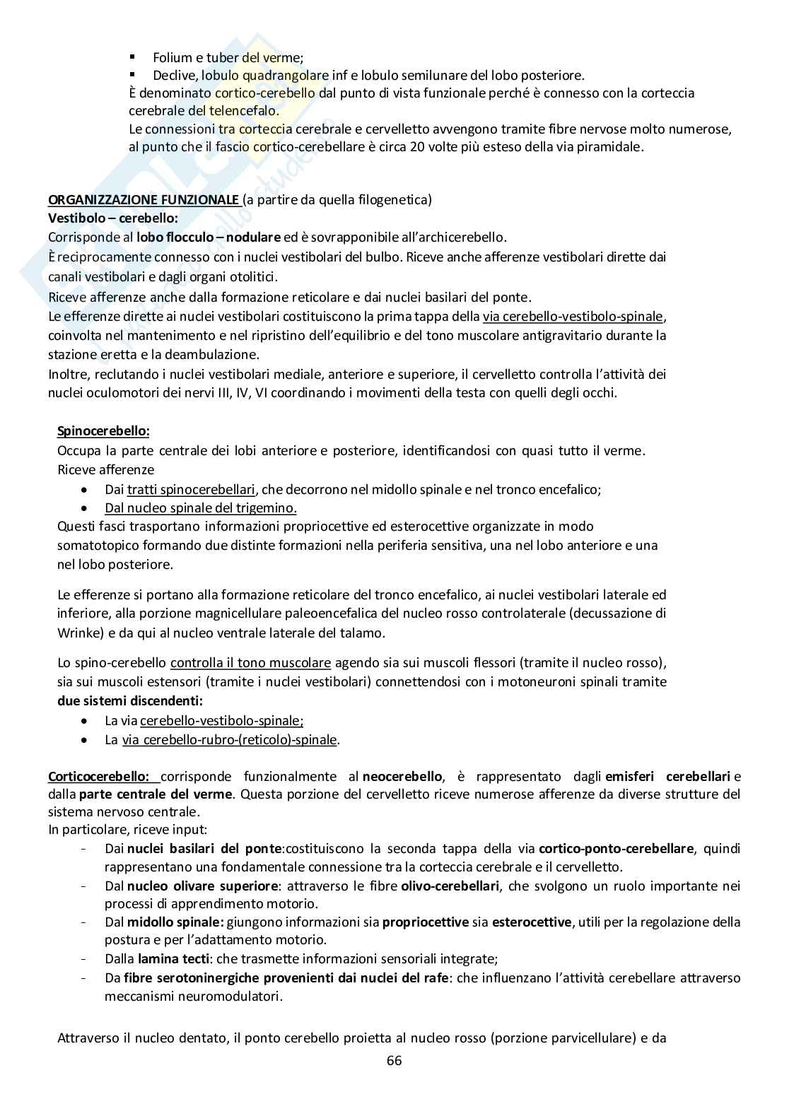 Sistema Nervoso Centrale Pag. 66