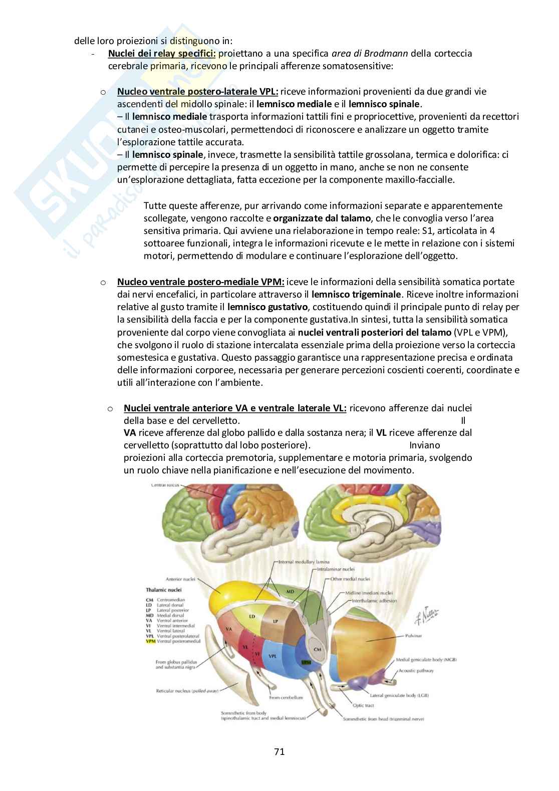 Sistema Nervoso Centrale Pag. 71