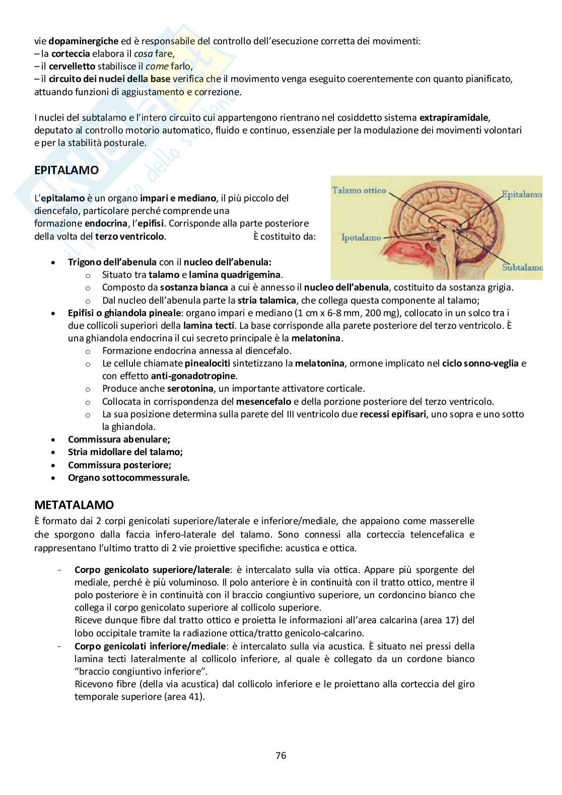 Sistema Nervoso Centrale Pag. 76