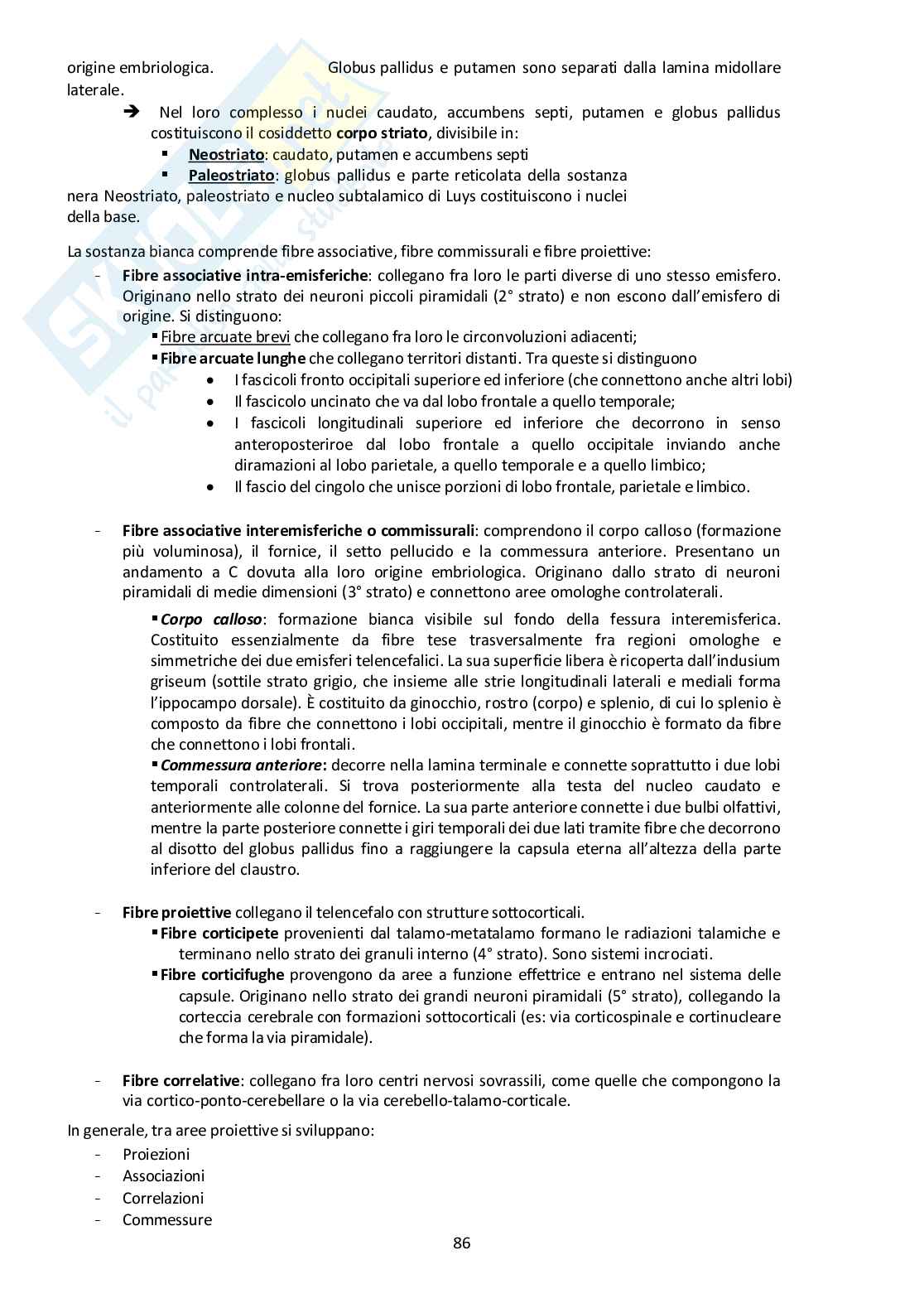 Sistema Nervoso Centrale Pag. 86