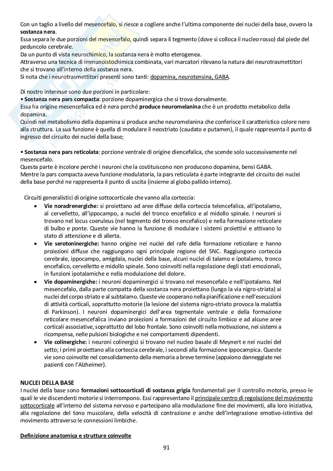 Sistema Nervoso Centrale Pag. 91