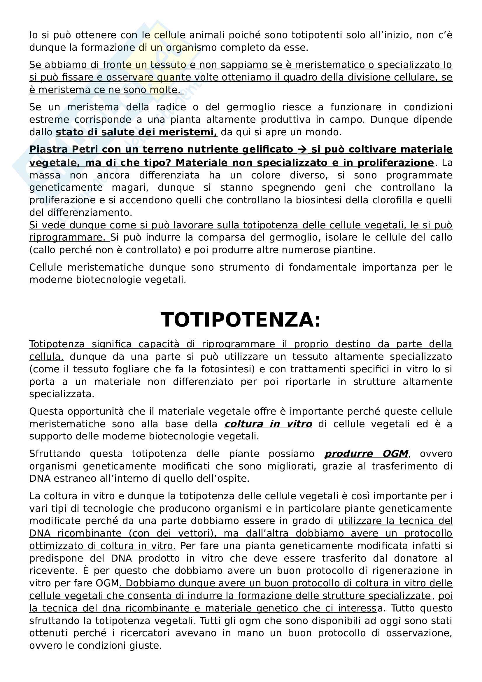 Appunti biologia vegetale Pag. 11