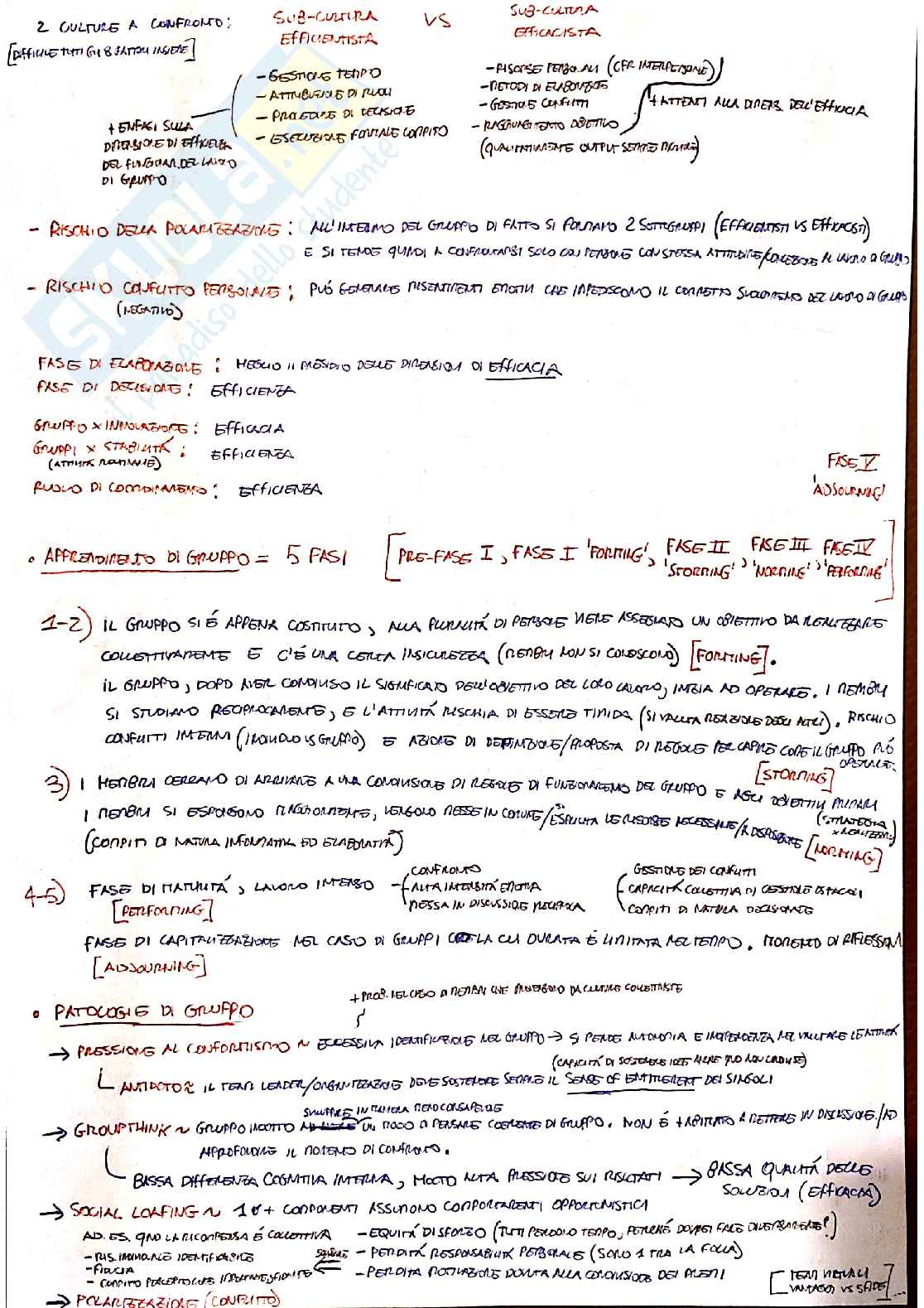 Riassunto schematico di Comportamento organizzativo Pag. 2