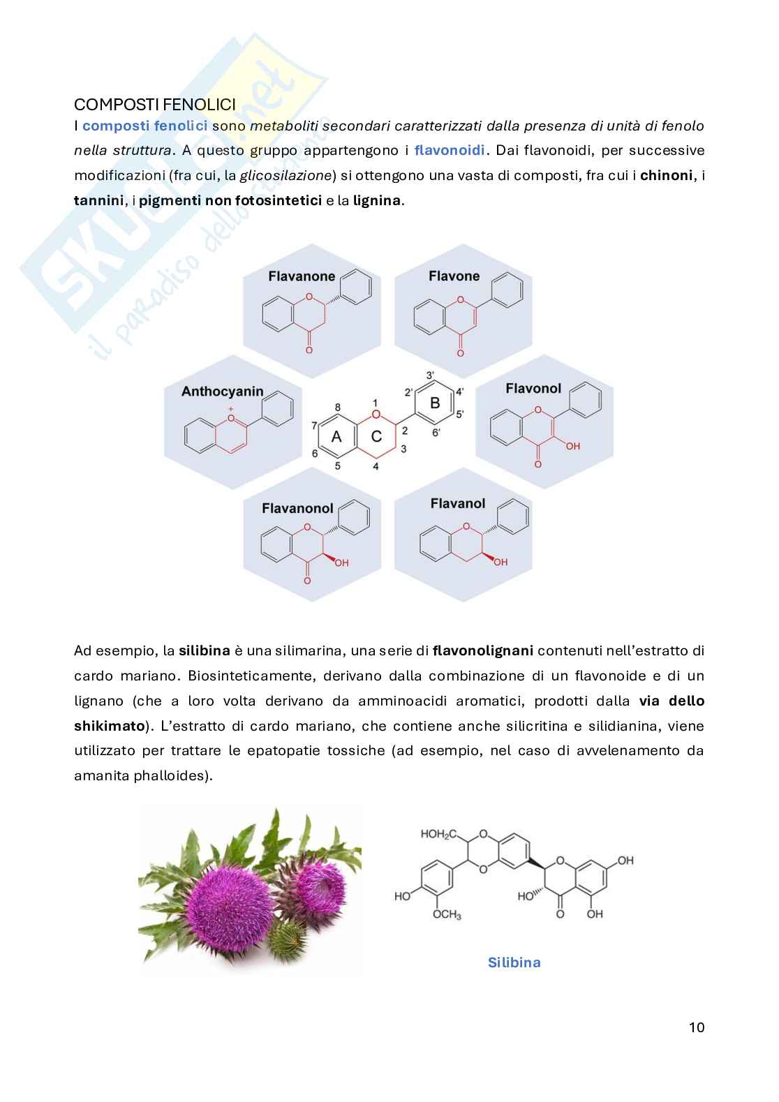 Laboratorio di sintesi delle sostanze organiche naturali Pag. 11