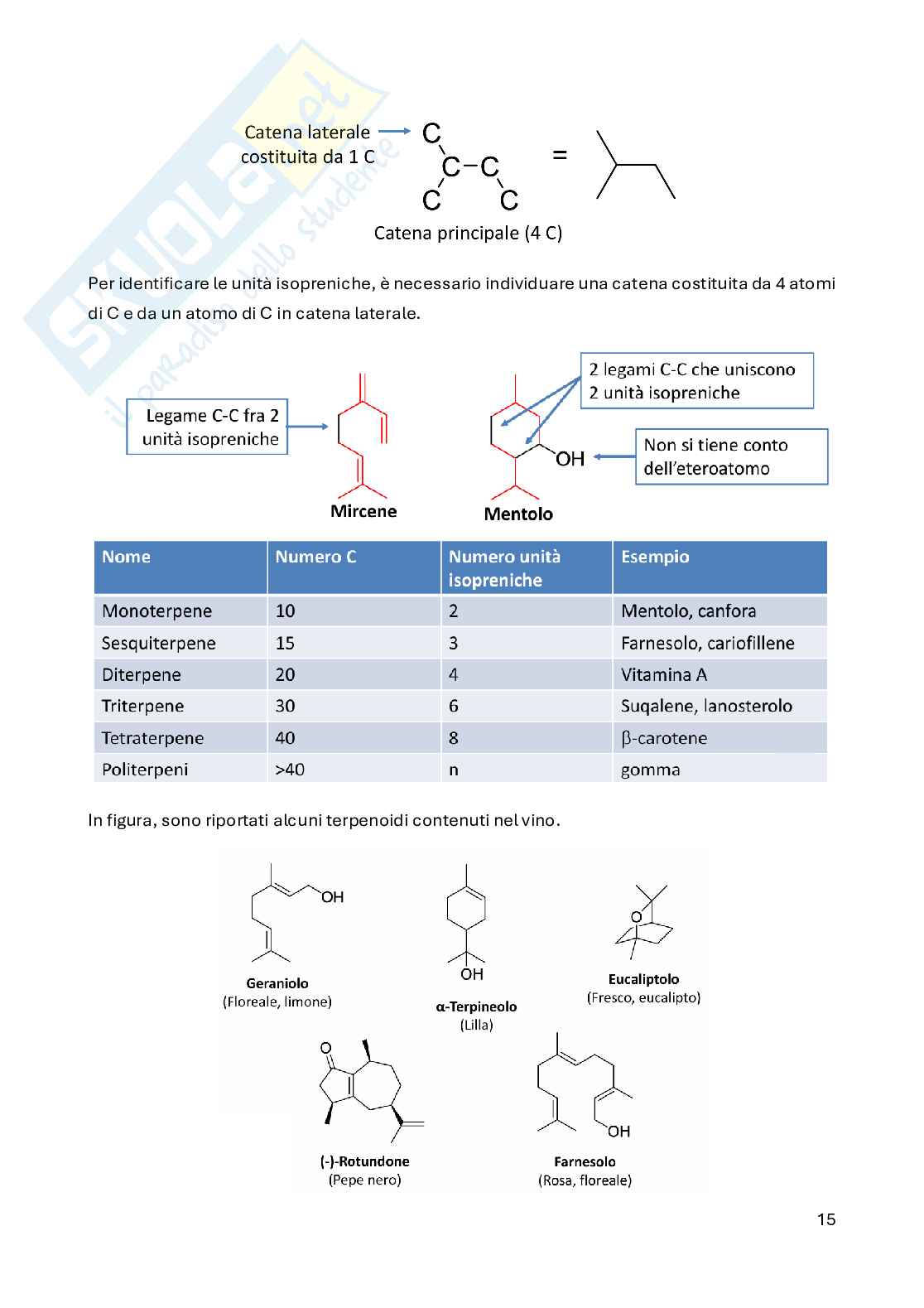 Laboratorio di sintesi delle sostanze organiche naturali Pag. 16