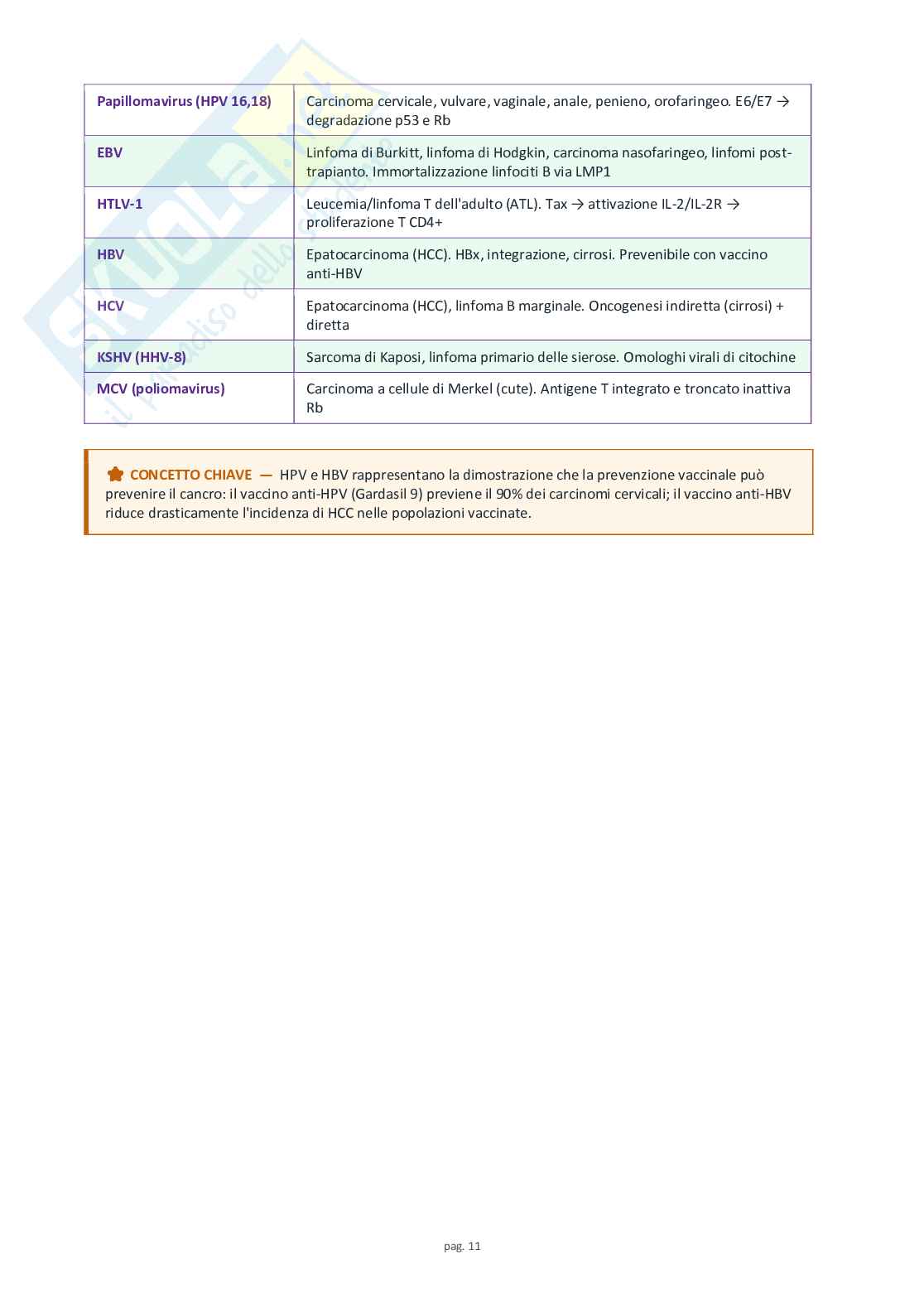 Schemi completi di virologia medica Pag. 11