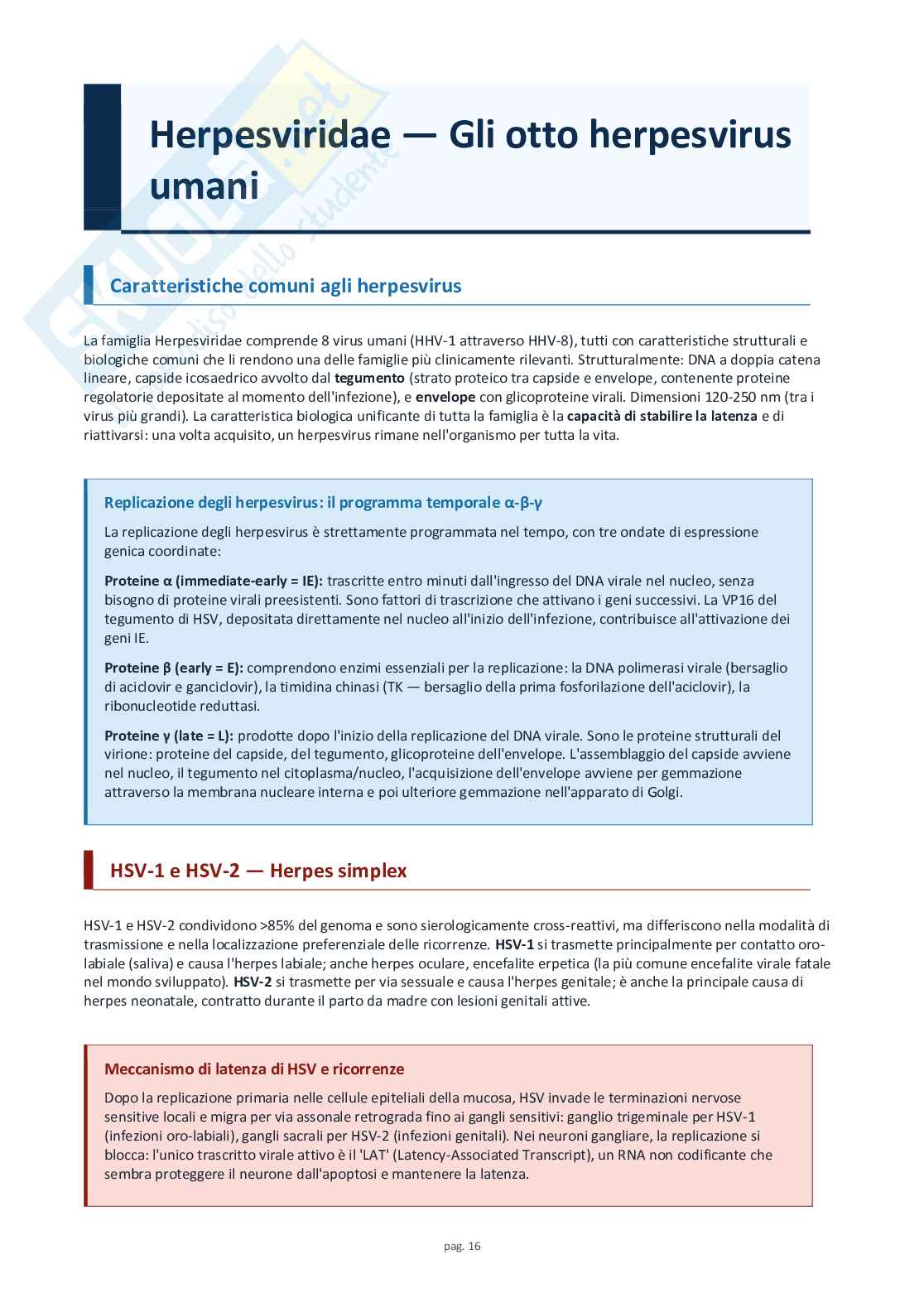 Schemi completi di virologia medica Pag. 16
