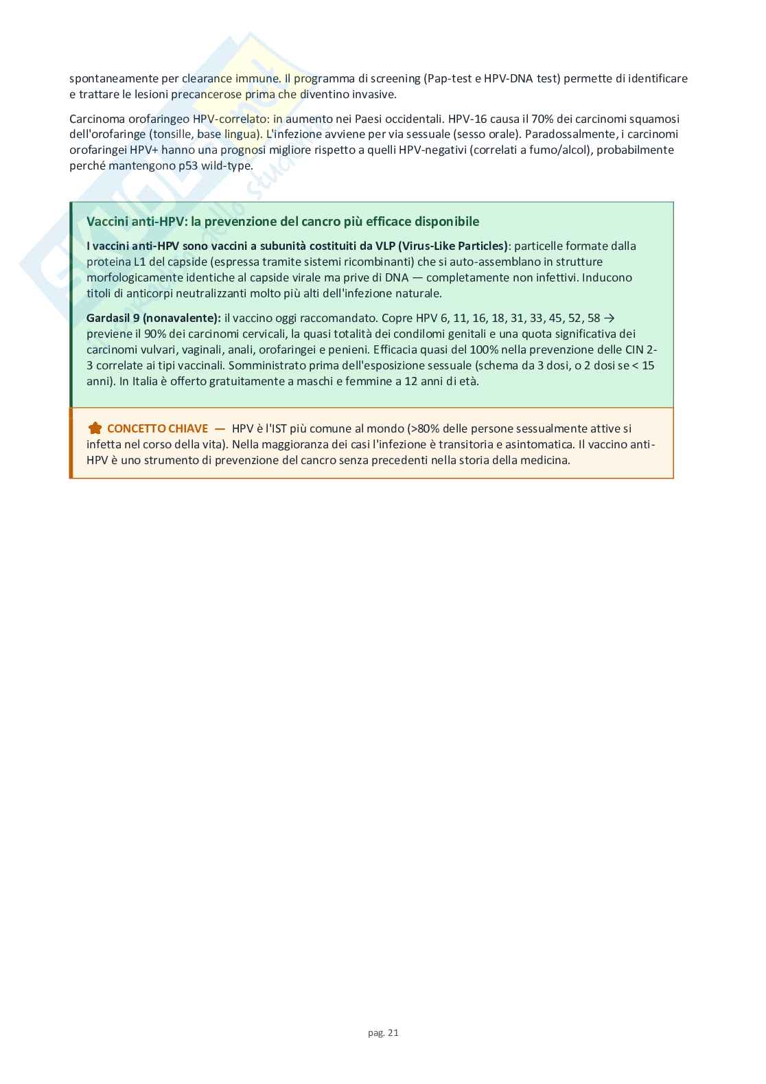 Schemi completi di virologia medica Pag. 21
