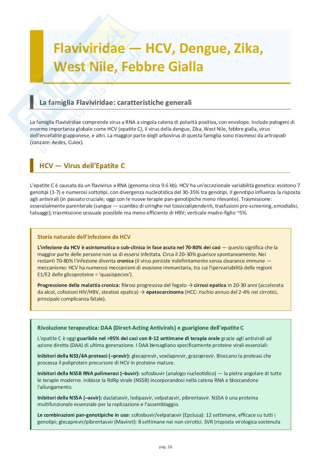 Schemi completi di virologia medica Pag. 26