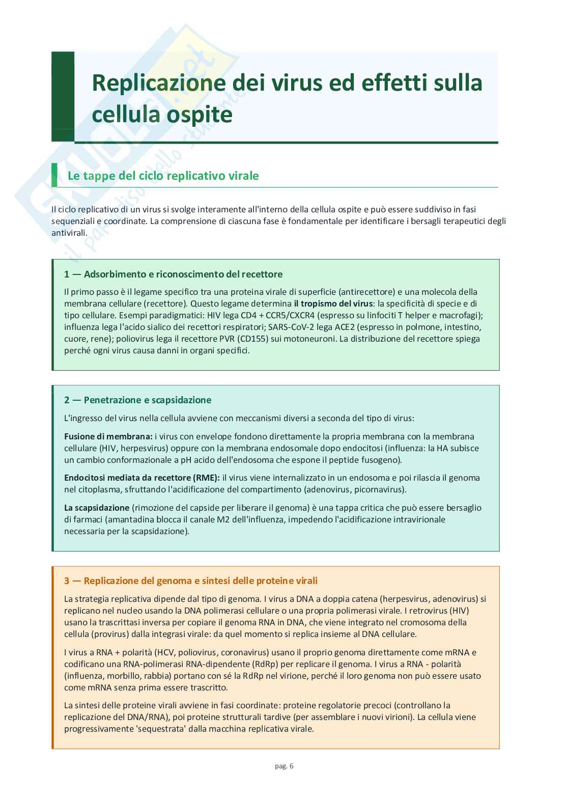 Schemi completi di virologia medica Pag. 6