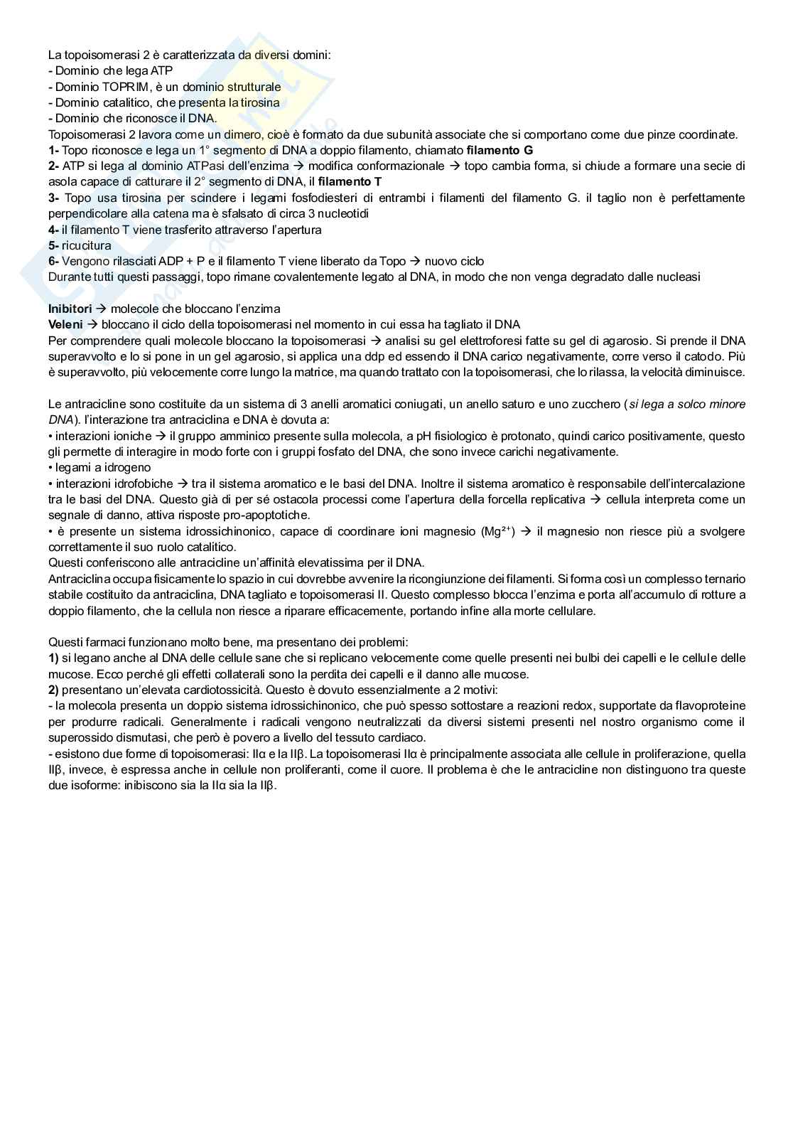 Antracicline Pag. 2
