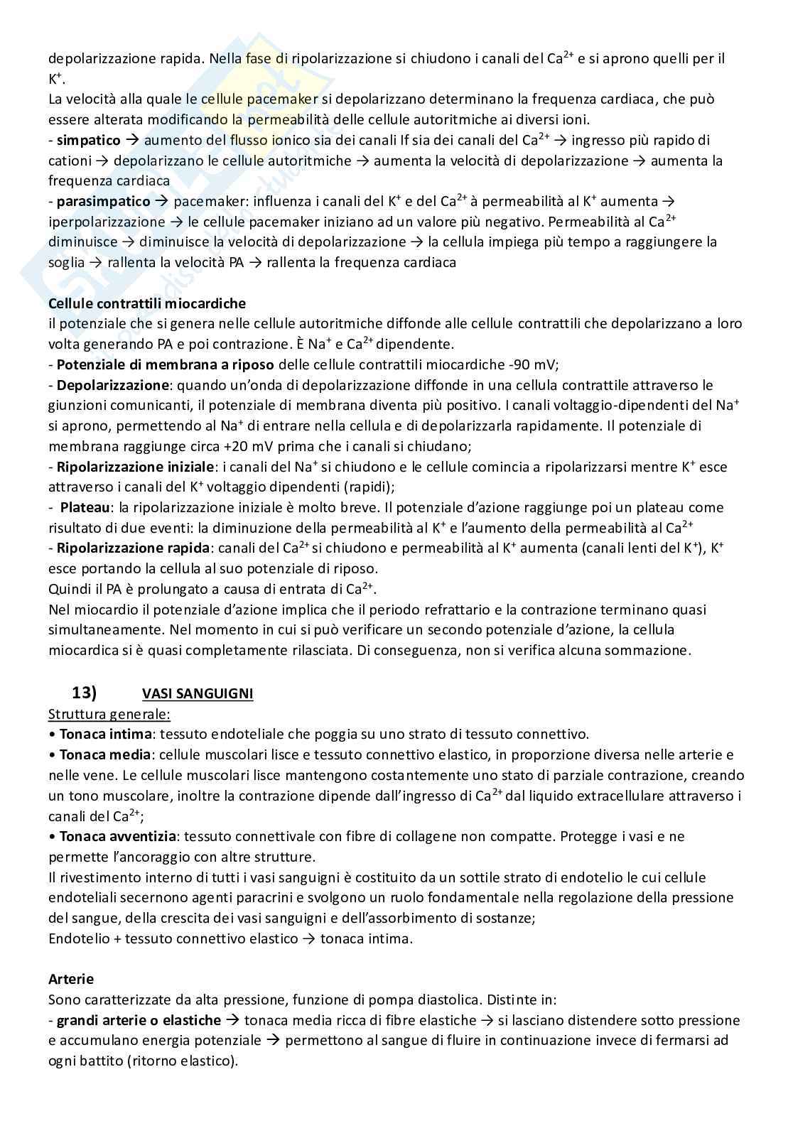 Omeostasi Pag. 11
