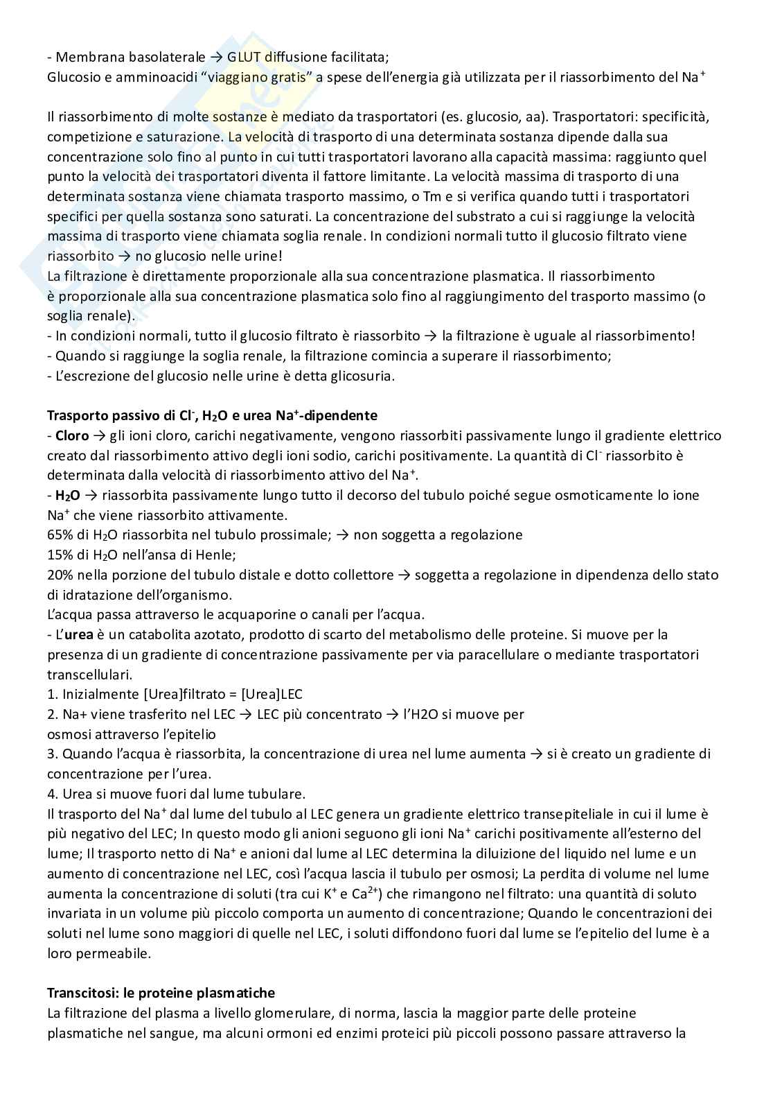 Omeostasi Pag. 26