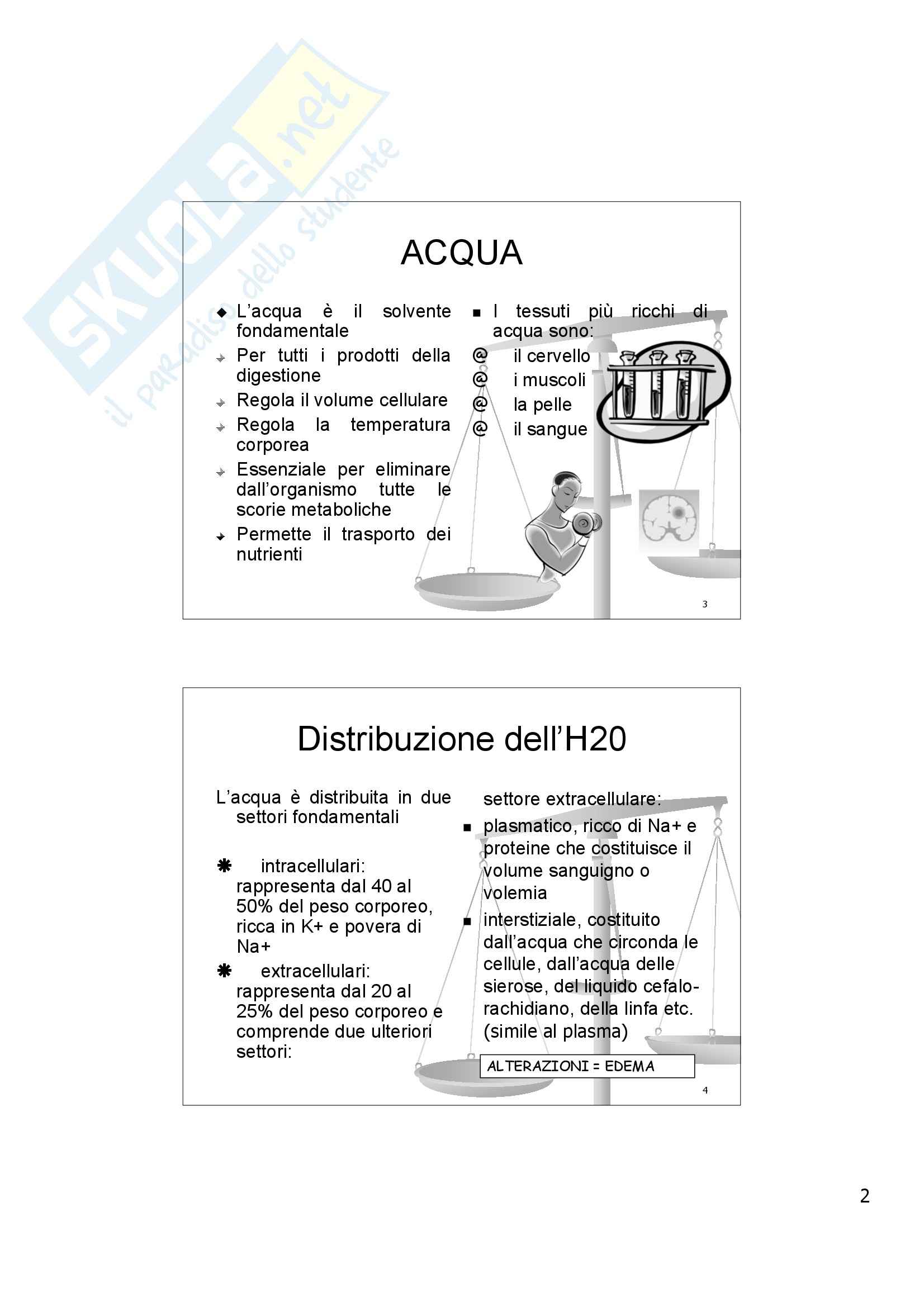Scienze infermieristiche - il bilancio idrico Pag. 2