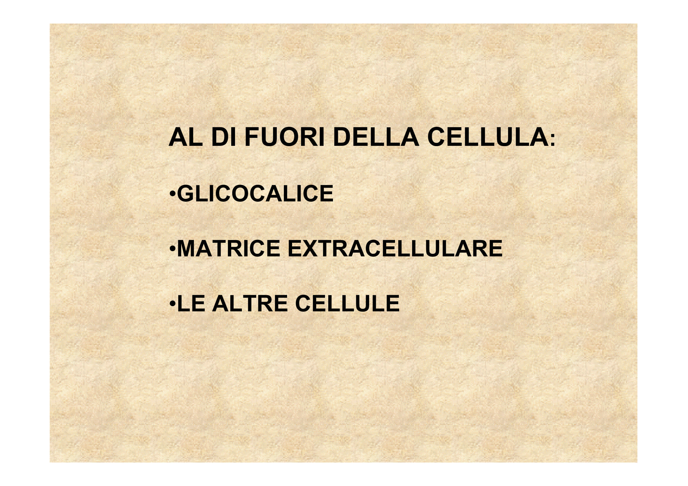 In Quale Delle Seguenti Strutture Cellulari Si Trova L Rna