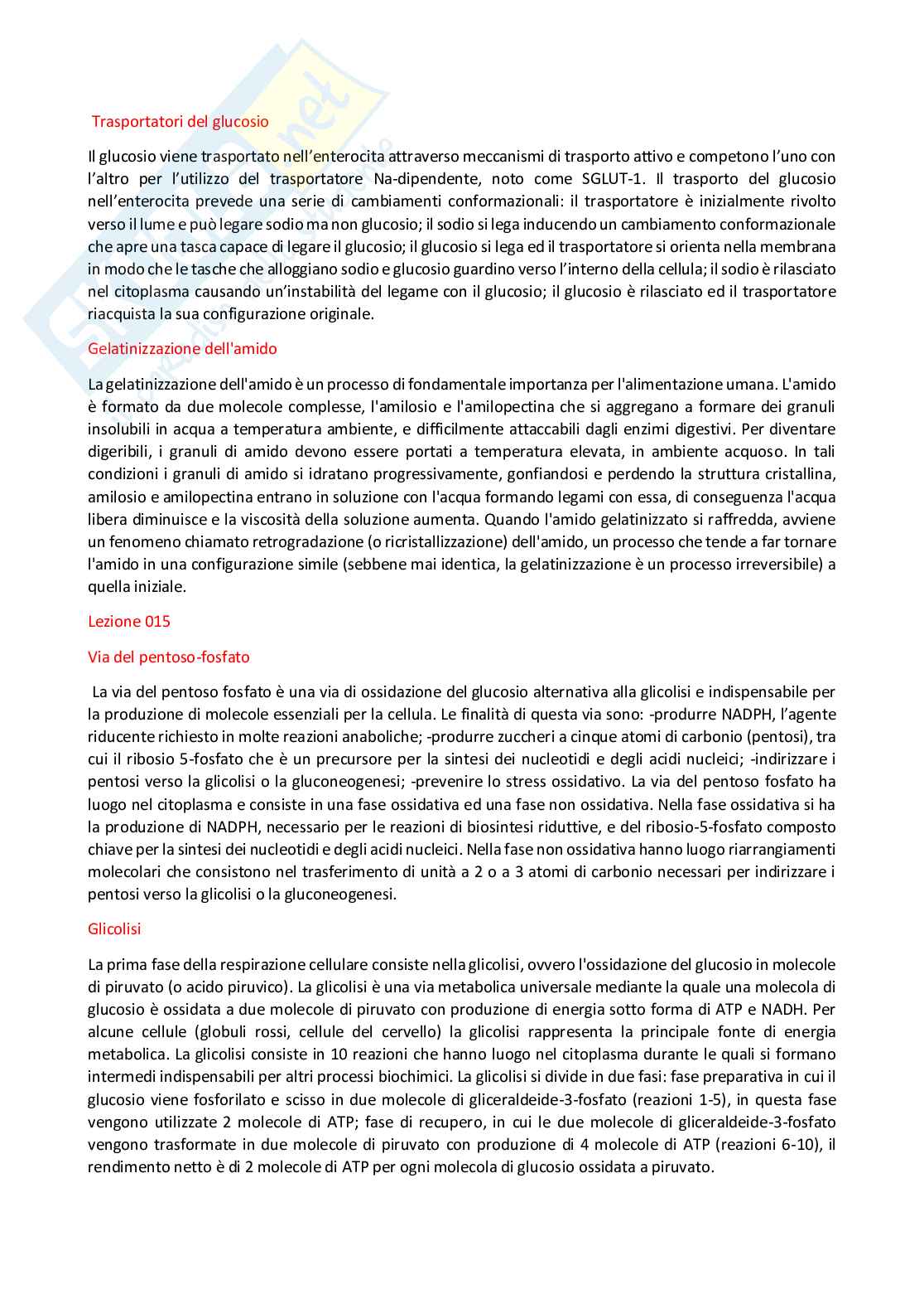 Paniere Fisiologia dei nutrienti (2026) - Risposte aperte corrette  Pag. 11