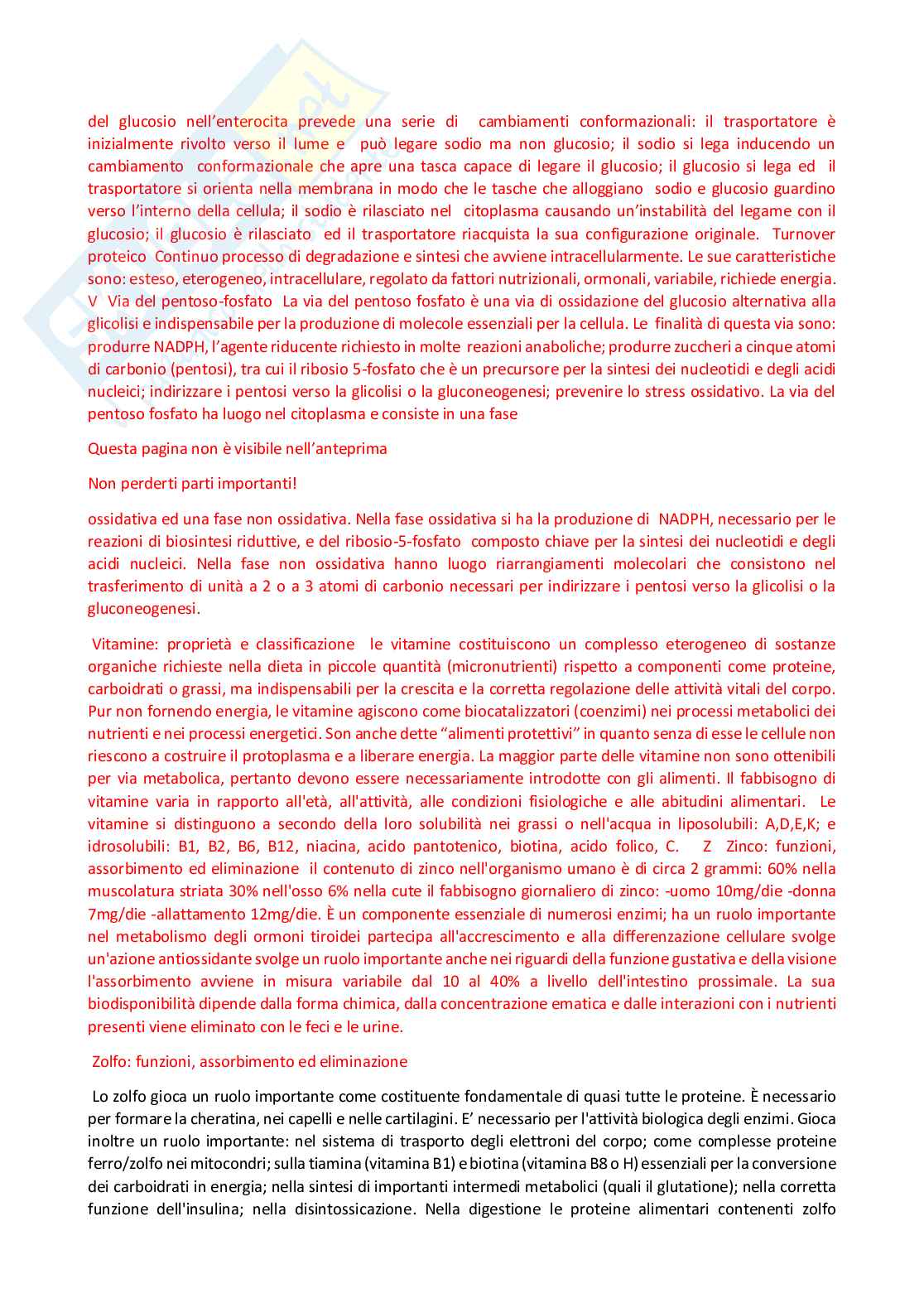 Paniere Fisiologia dei nutrienti (2026) - Risposte aperte corrette  Pag. 31