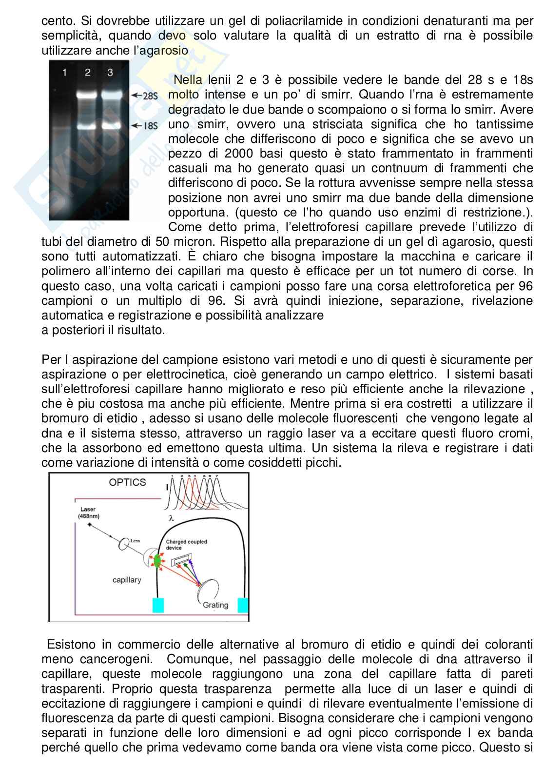 Riassunti Biochimica clinica e applicata Pag. 16