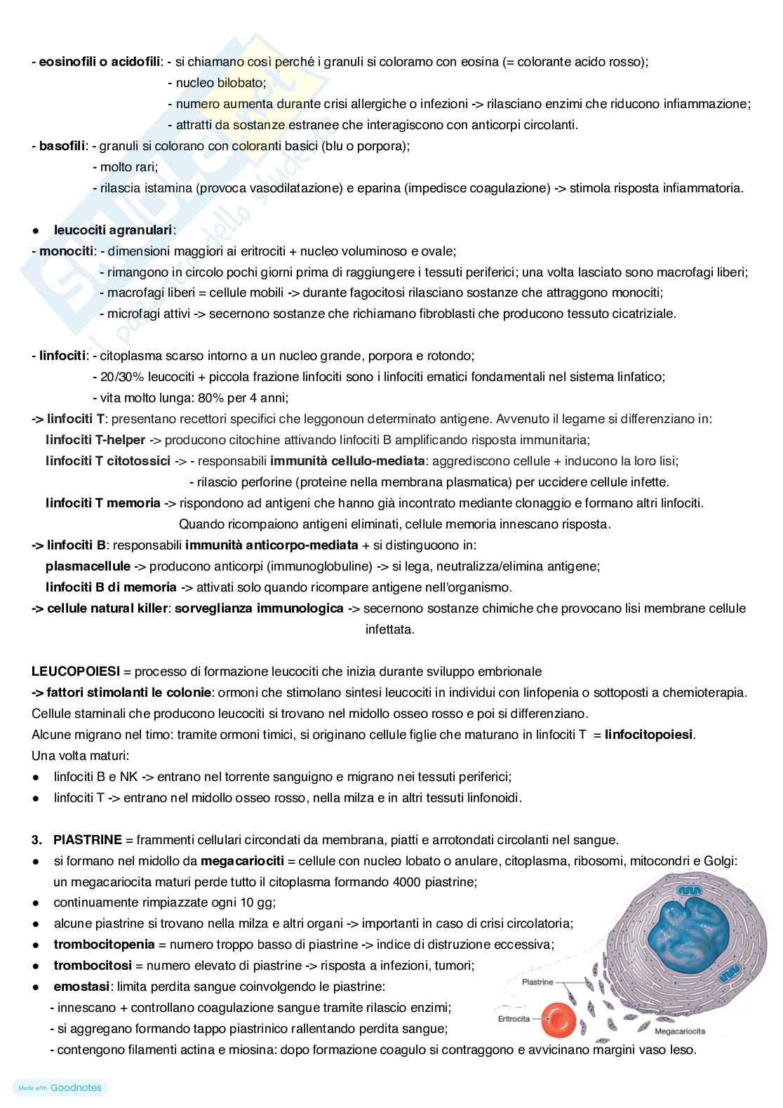Anatomia umana Pag. 11