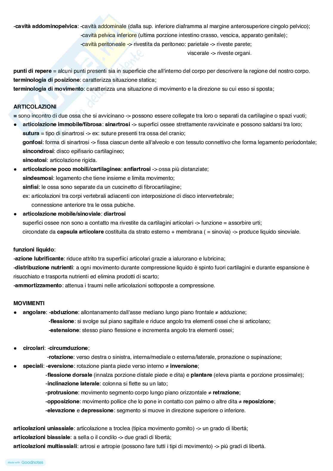 Anatomia umana Pag. 2