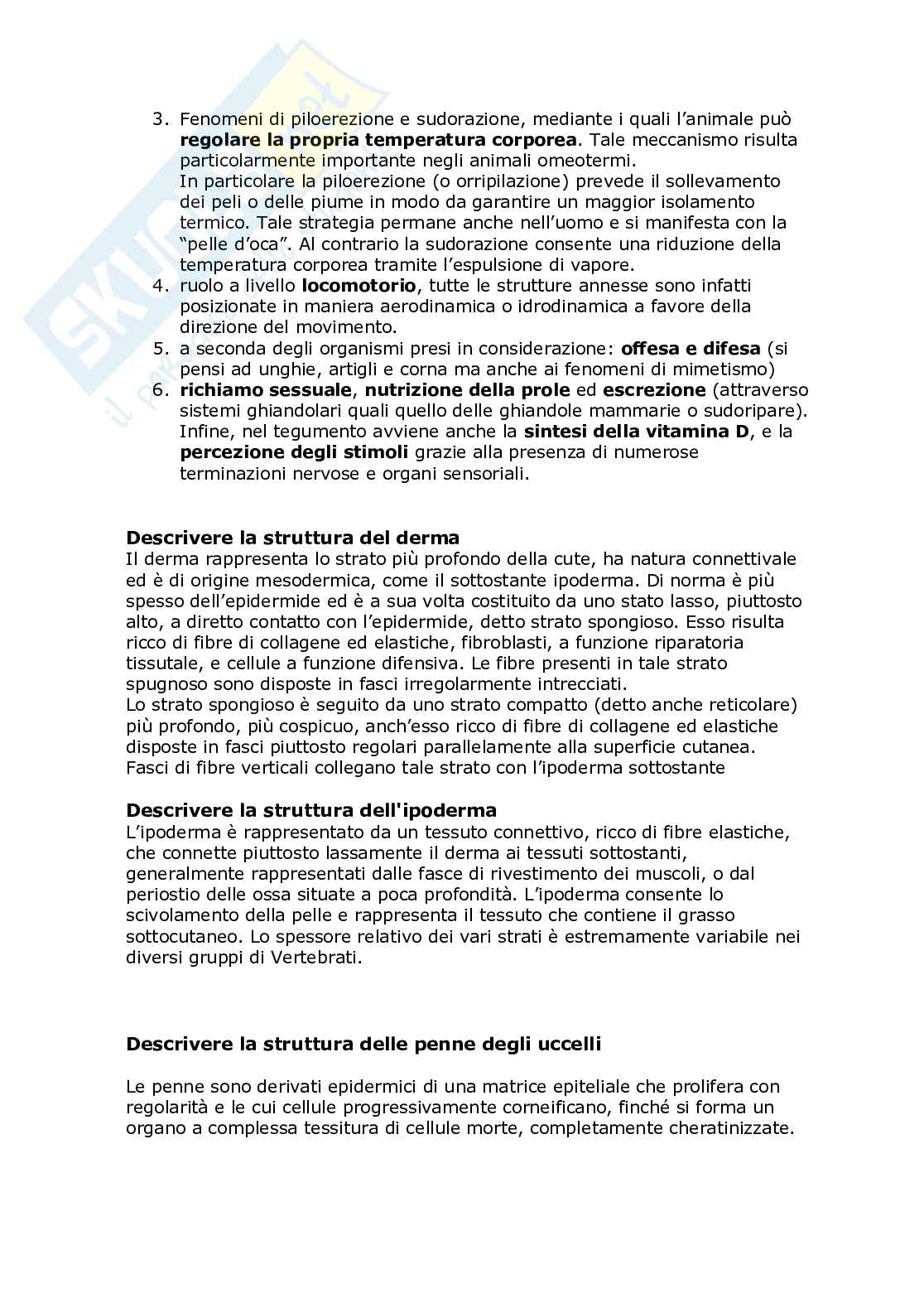 Anatomia comparata e citologia completo Pag. 56