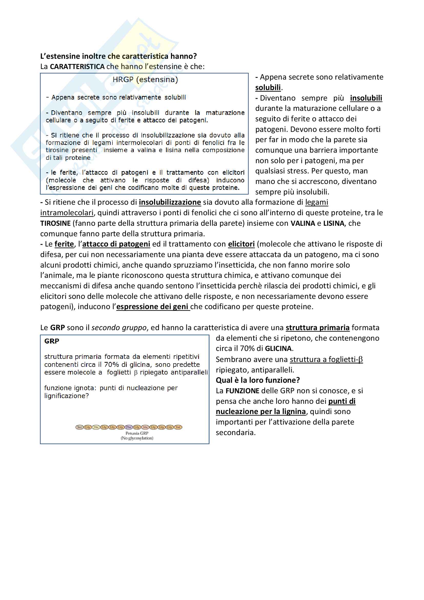 3) Lezione acqua Pag. 6
