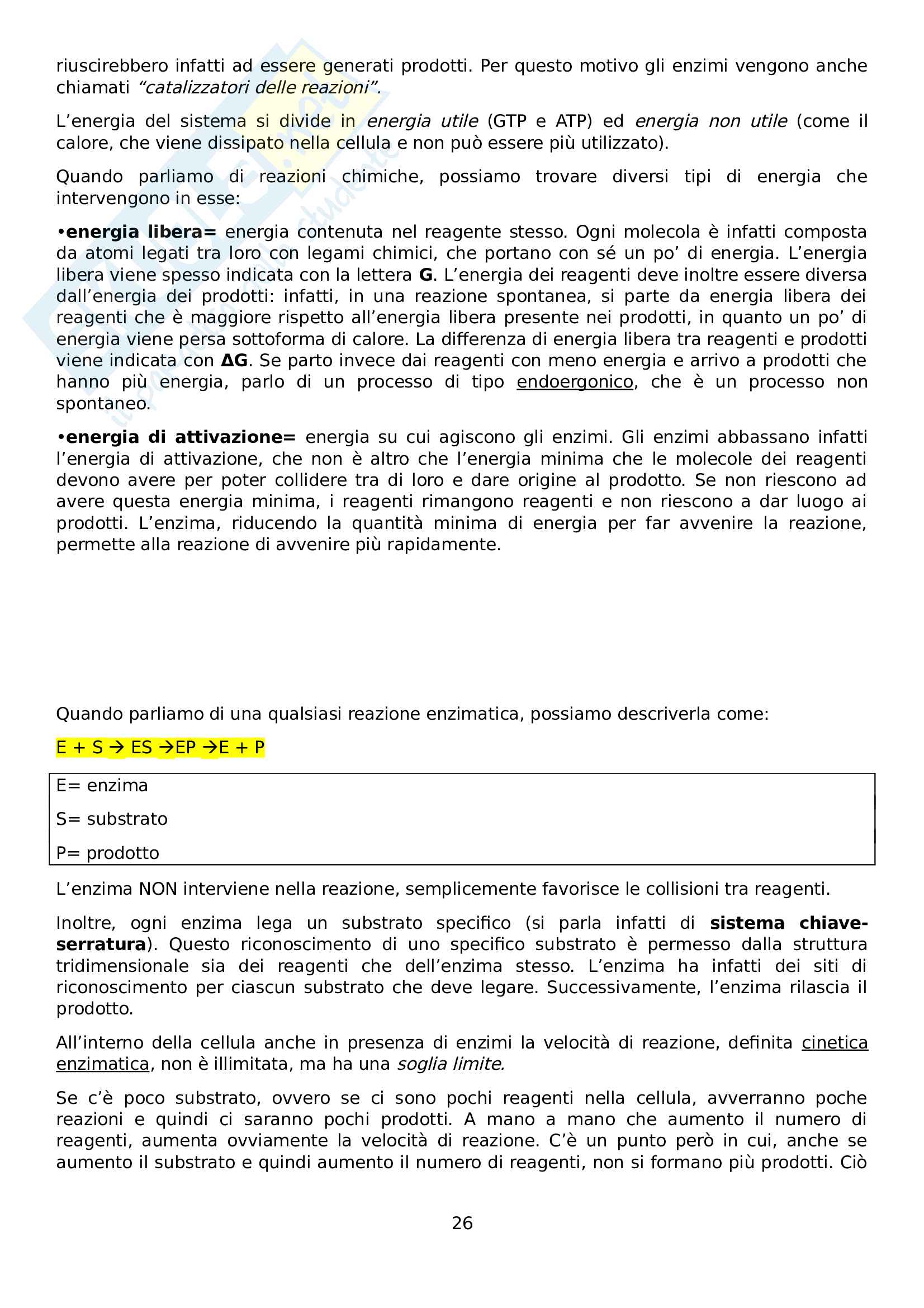 Biologia e genetica Pag. 26