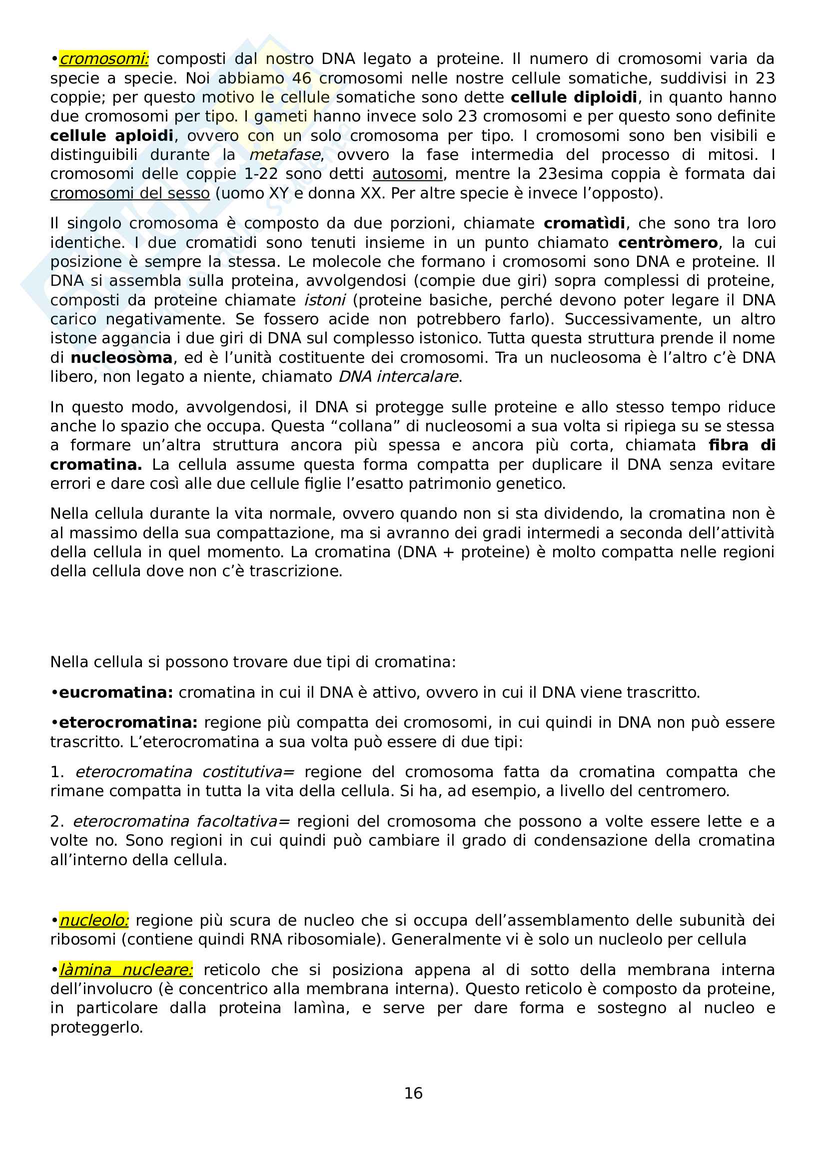 Elementi Di Biologia E Genetica Pdf