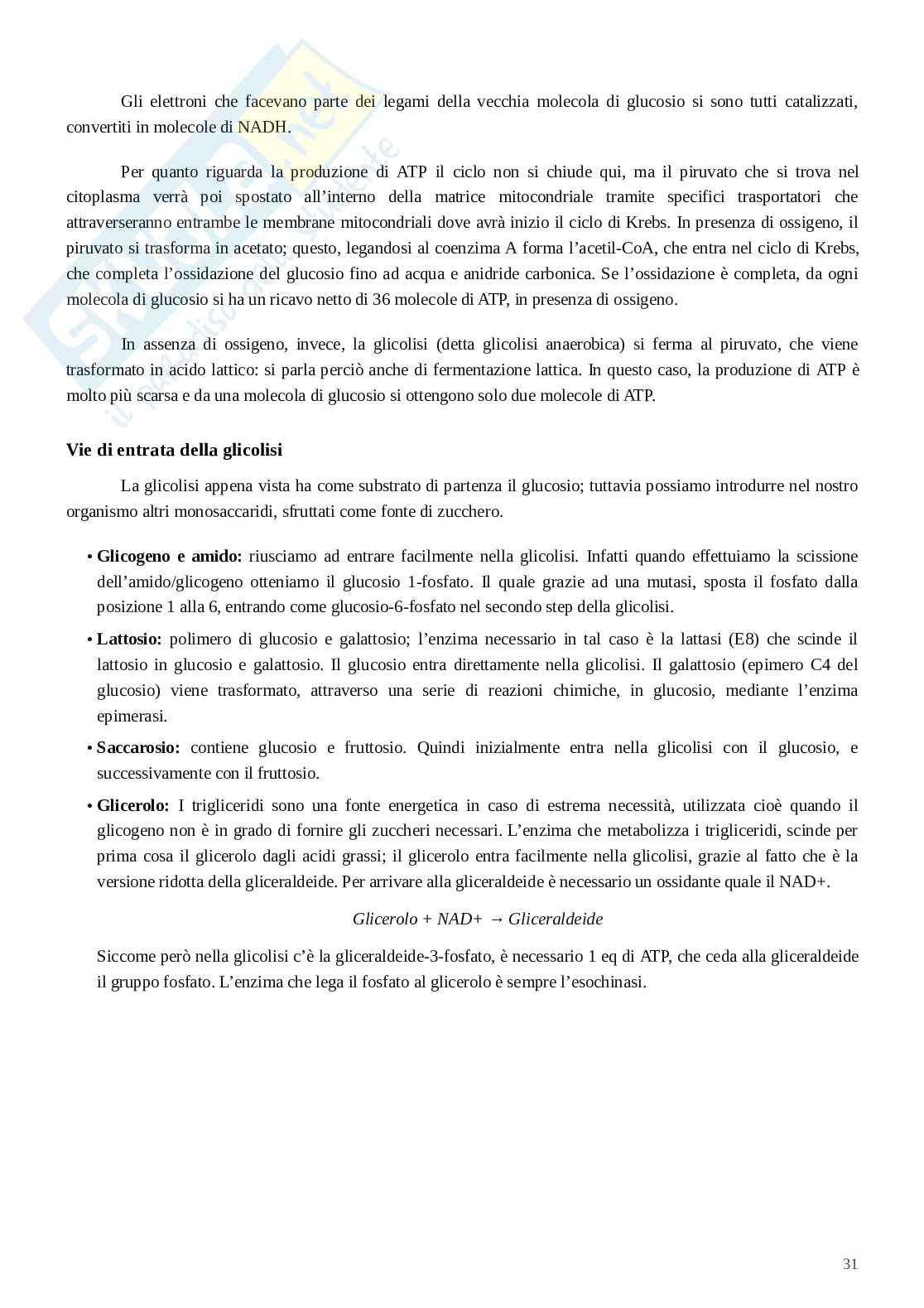 Integrazione fisiopatologica tra sistema nervosensoriale, attività motoria e regolazione endocrino-metabolico Pag. 31