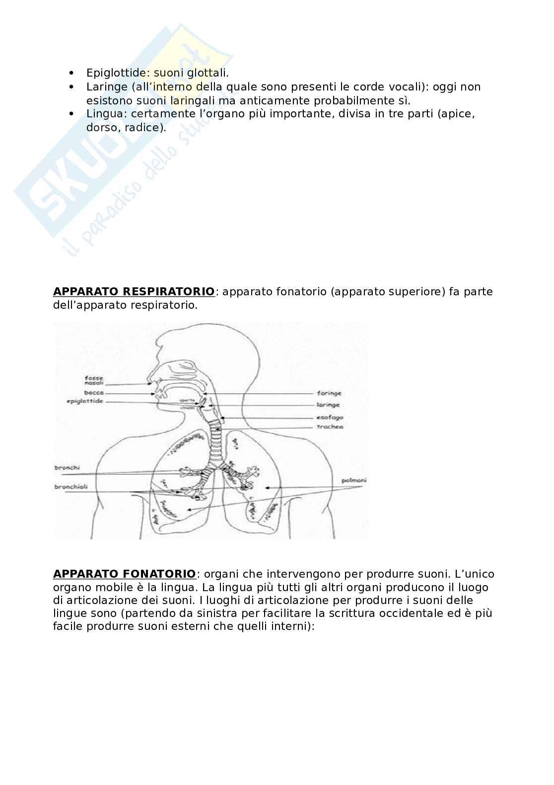 Prime due lezioni di Linguistica generale Pag. 6