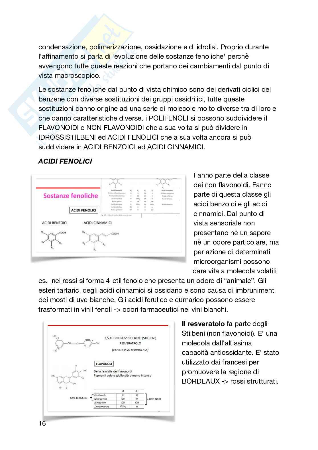 Bevande alcoliche, analcoliche ed alimenti nervini Pag. 16