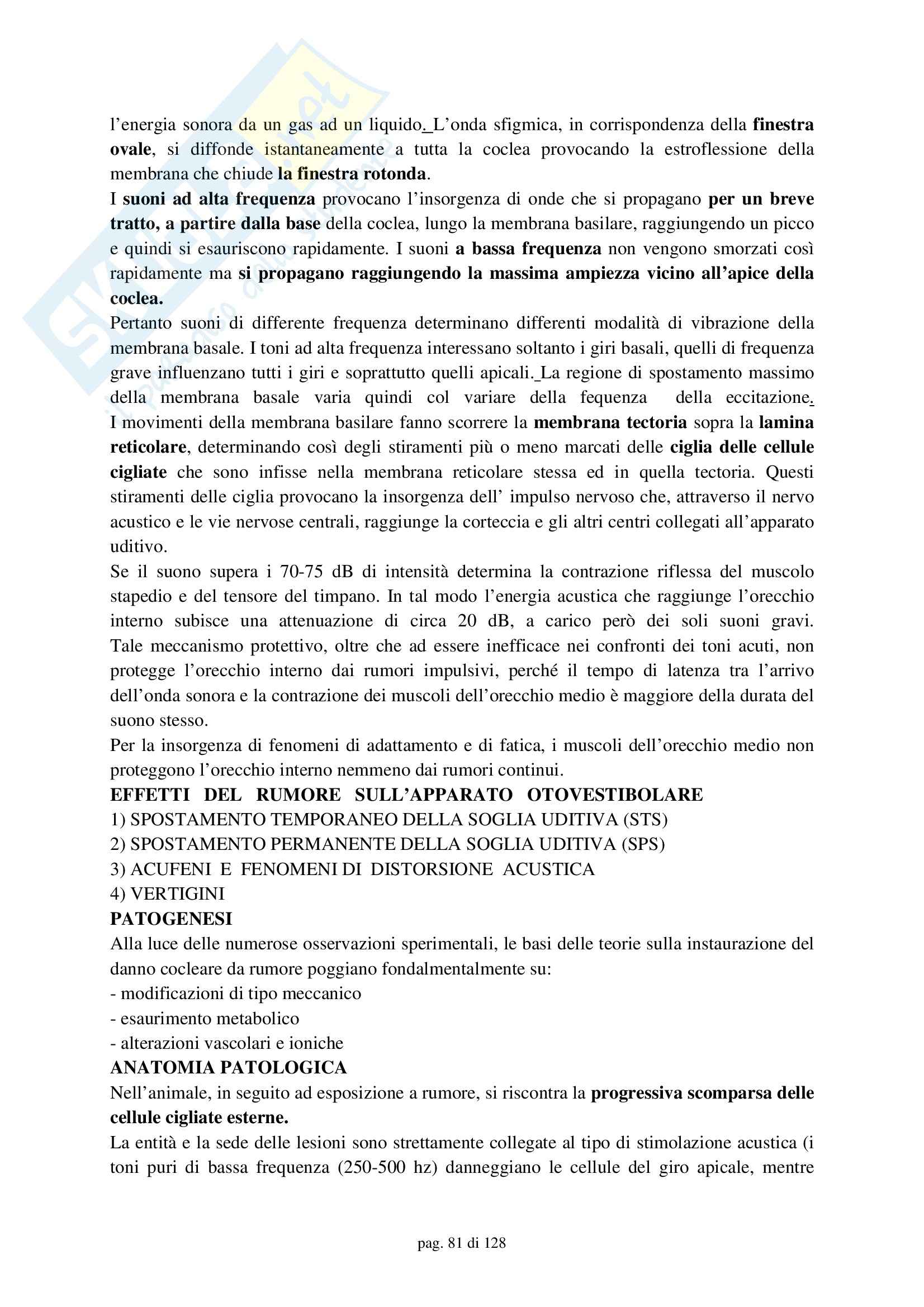 Medicina del lavoro – Compendio Pag. 81