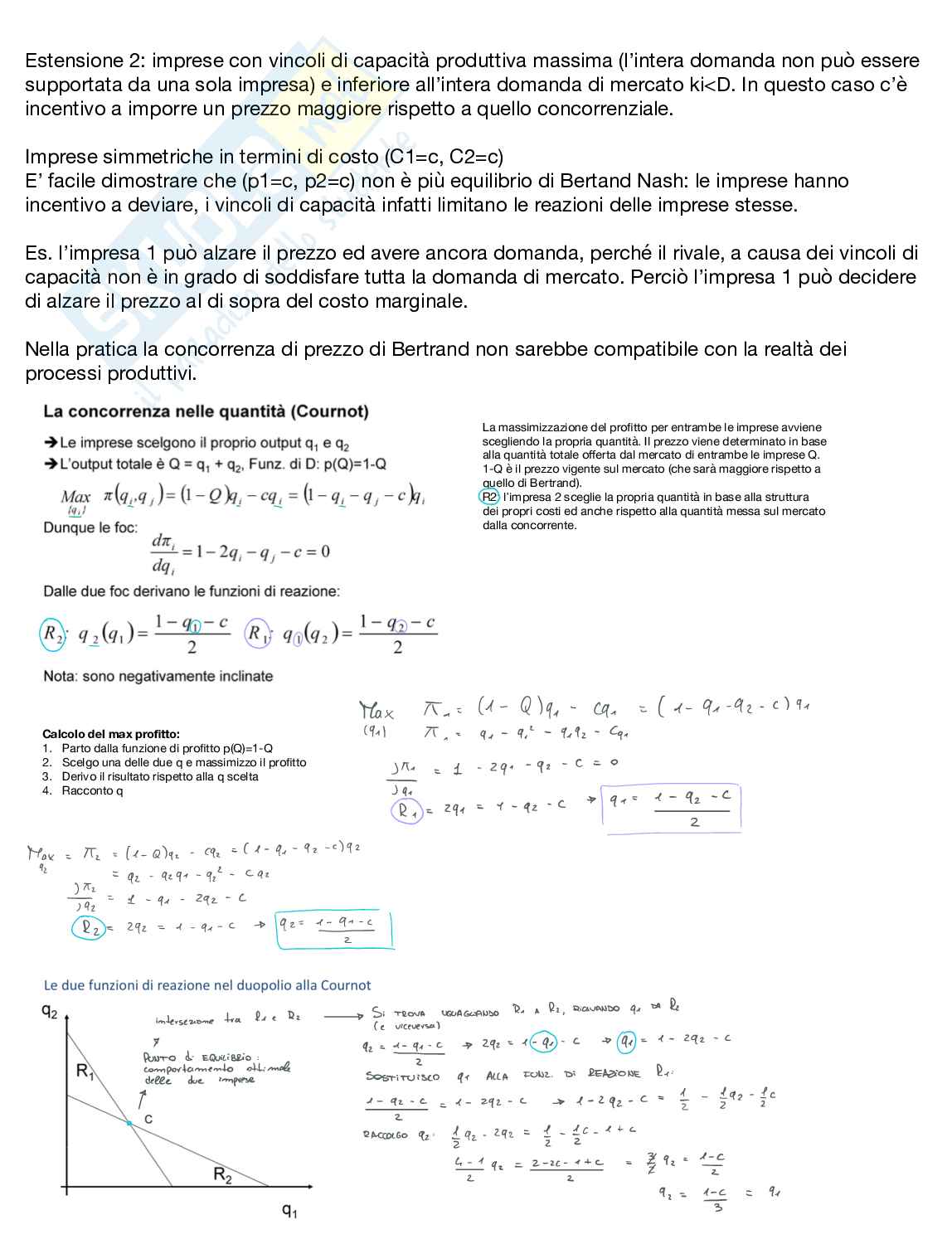 Appunti di Economia manageriale  Pag. 16