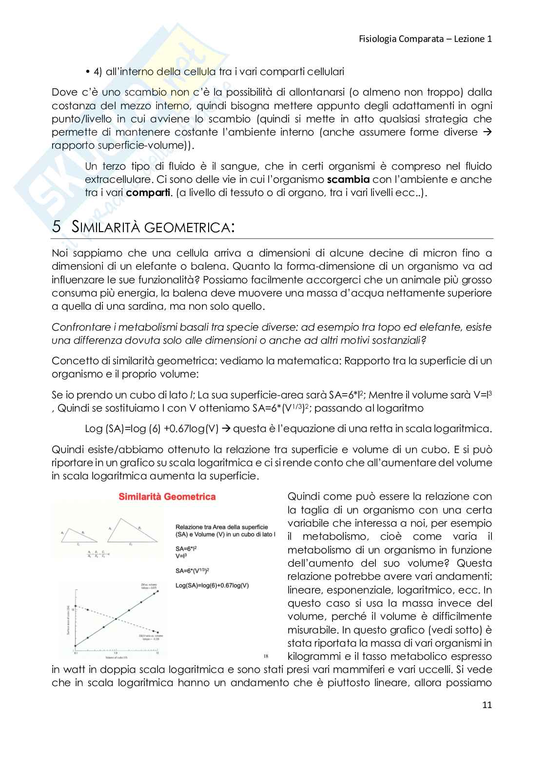 Fisiologia Comparata Pag. 11
