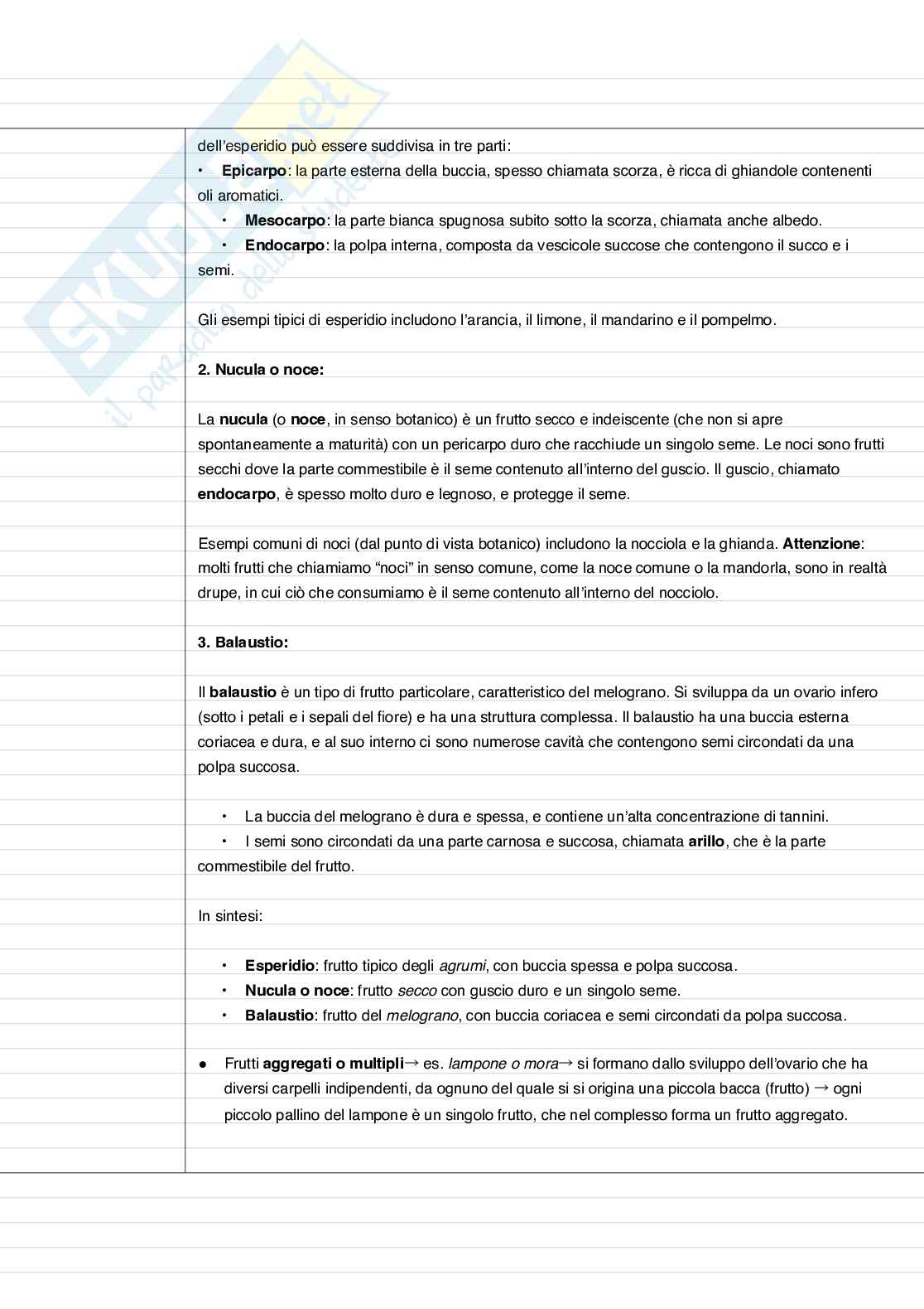 Appunti di Alimenti di origine vegetale  Pag. 6