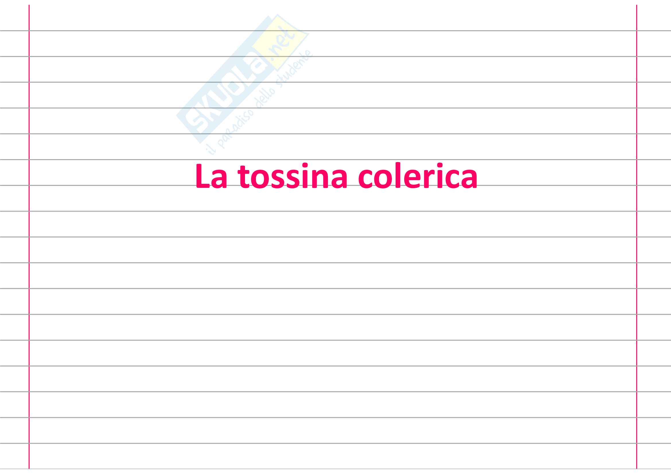 La tossina colerica Pag. 1