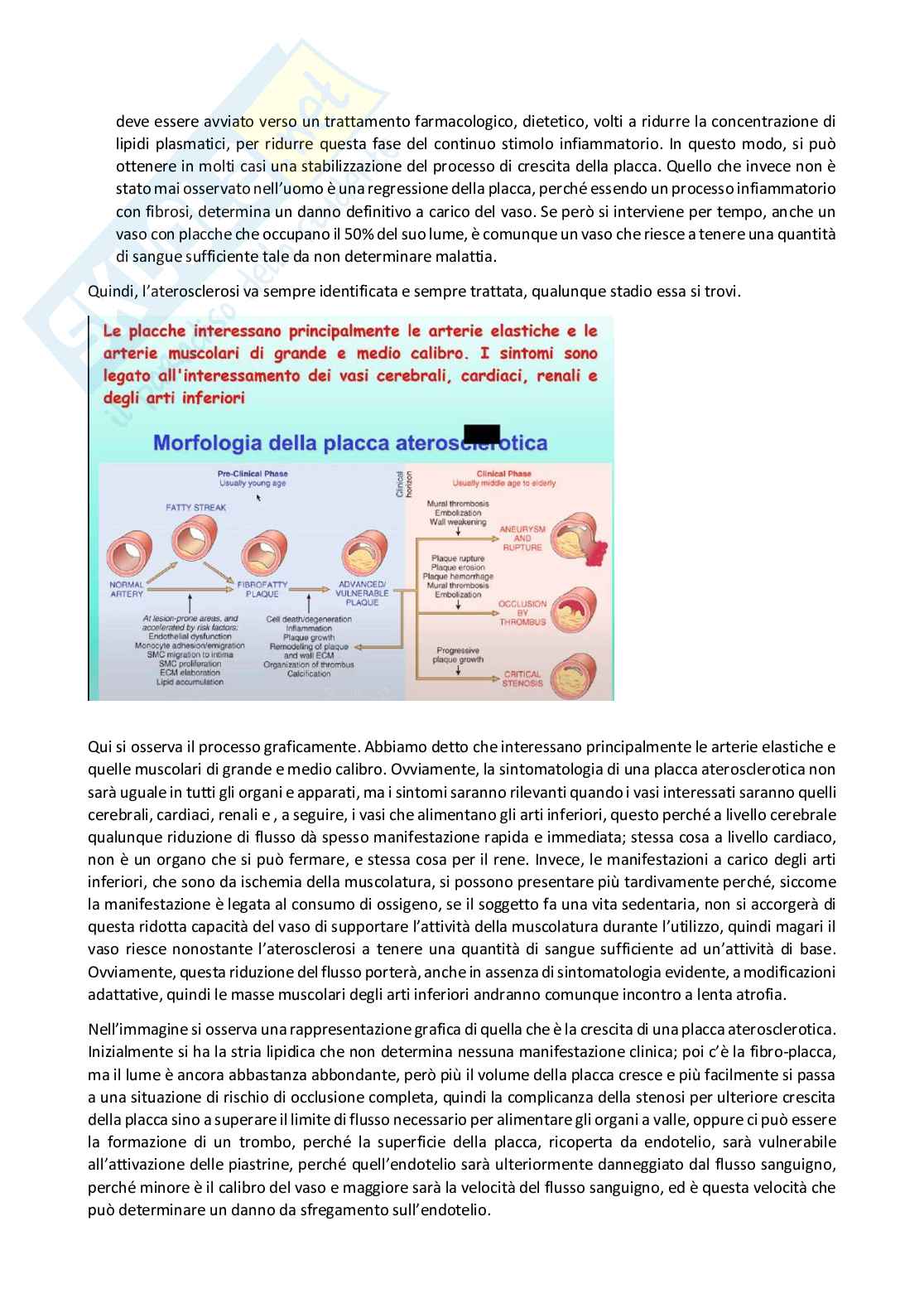 Patologia generale e fondamenti di fisiopatologia - parte 6 Pag. 16