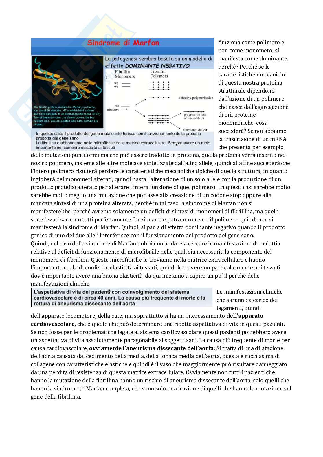 Patologia generale e fondamenti di fisiopatologia - parte 6 Pag. 2