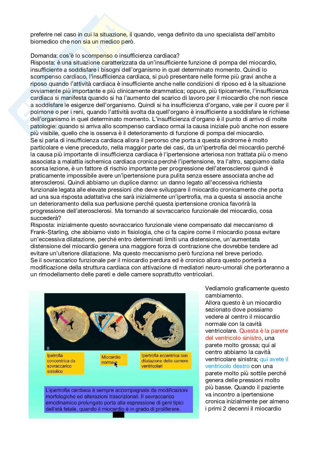 Patologia generale e fondamenti di fisiopatologia - parte 6 Pag. 36