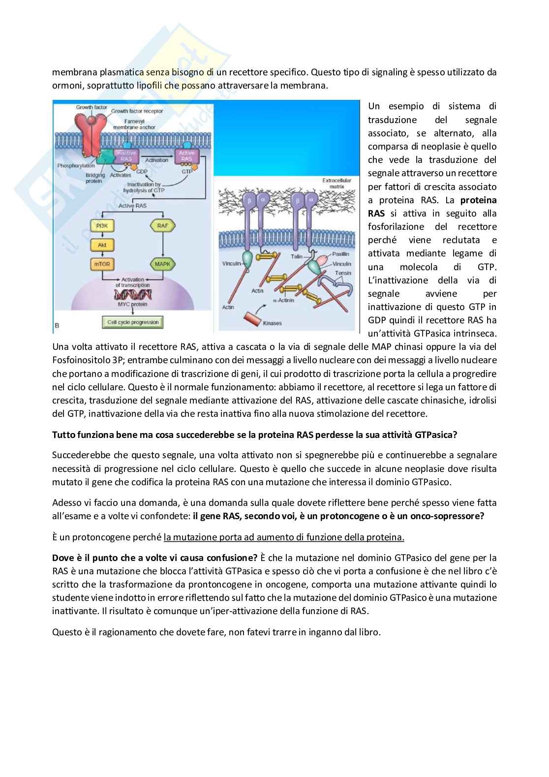 Patologia generale e fondamenti di fisiopatologia - parte 6 Pag. 56