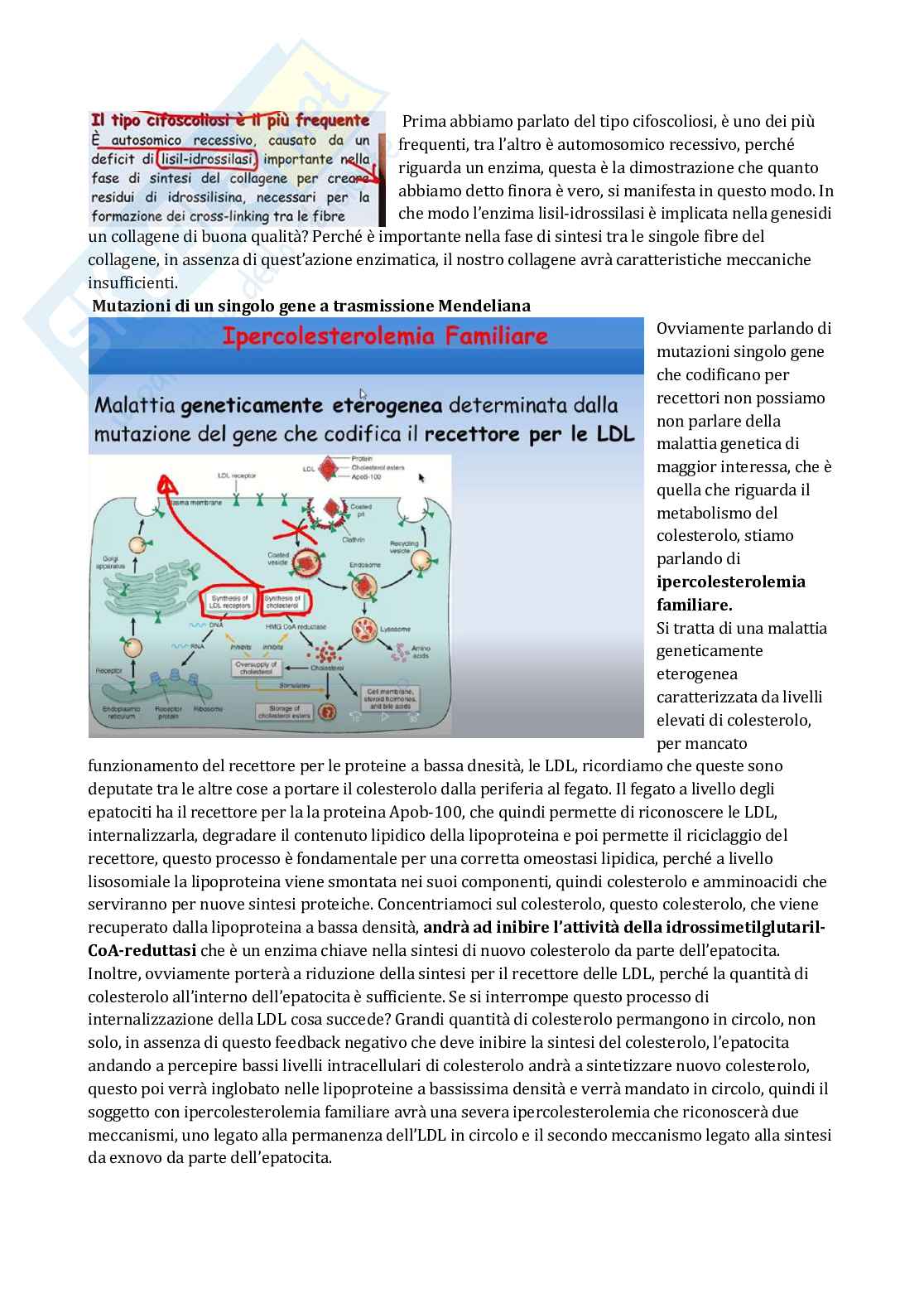Patologia generale e fondamenti di fisiopatologia - parte 6 Pag. 6