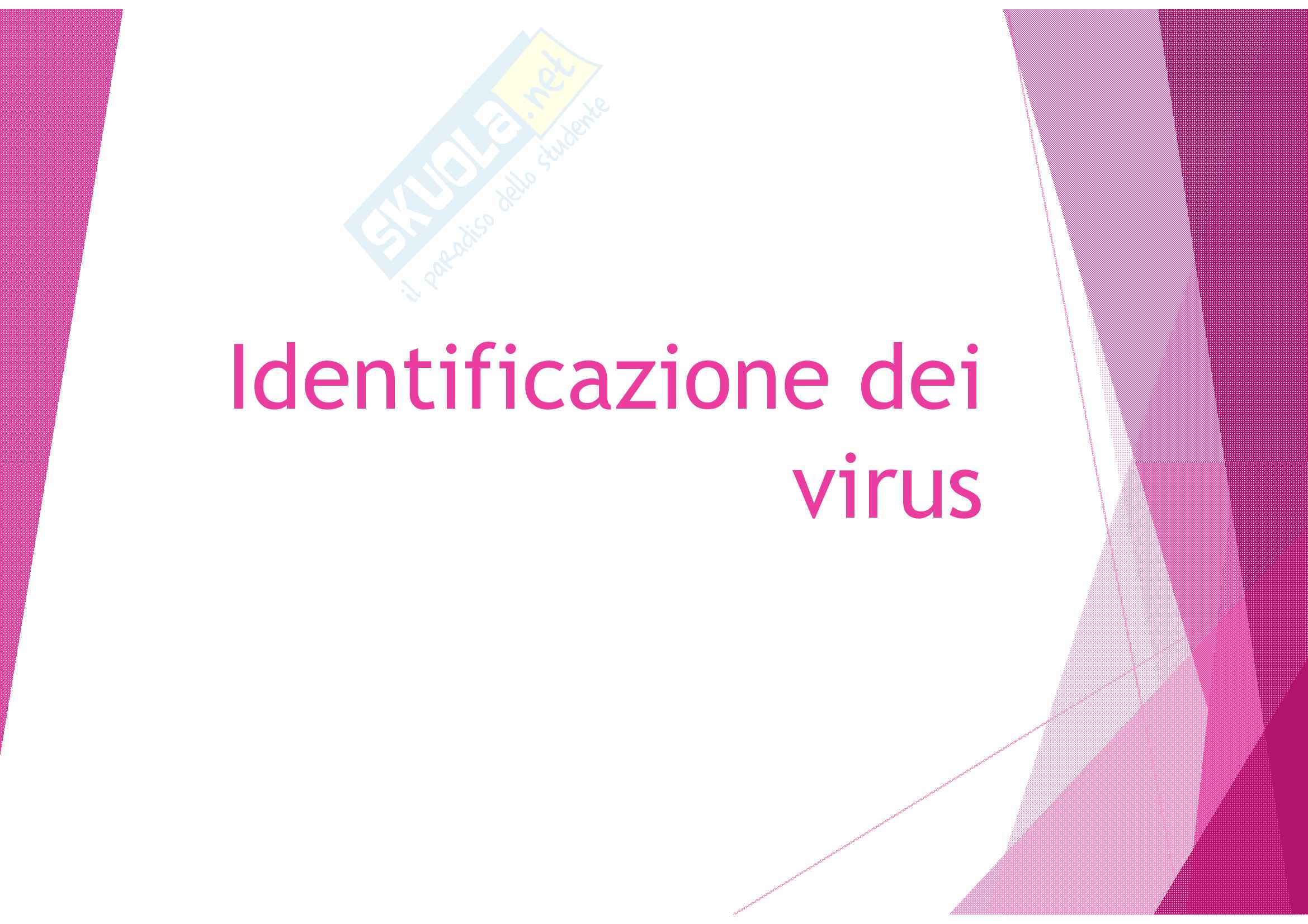 Identificazione dei virus Pag. 1