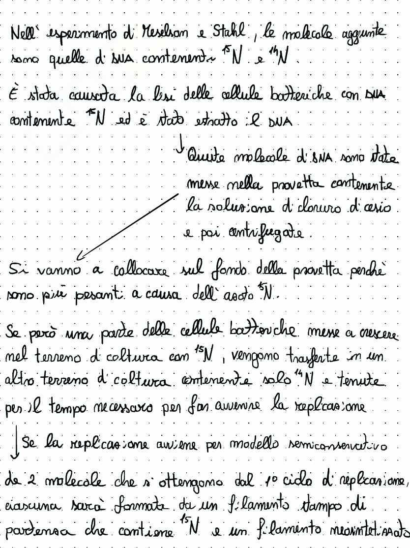 Introduzione Biologia molecolare Pag. 21