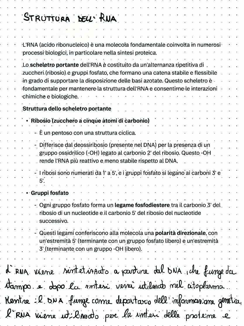 Introduzione Biologia molecolare Pag. 26