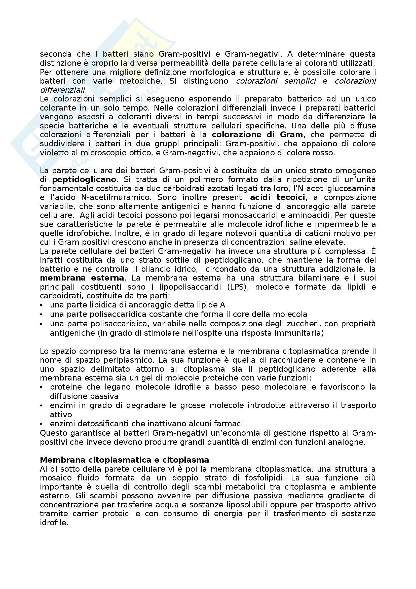I batteri: cenni generali Pag. 2