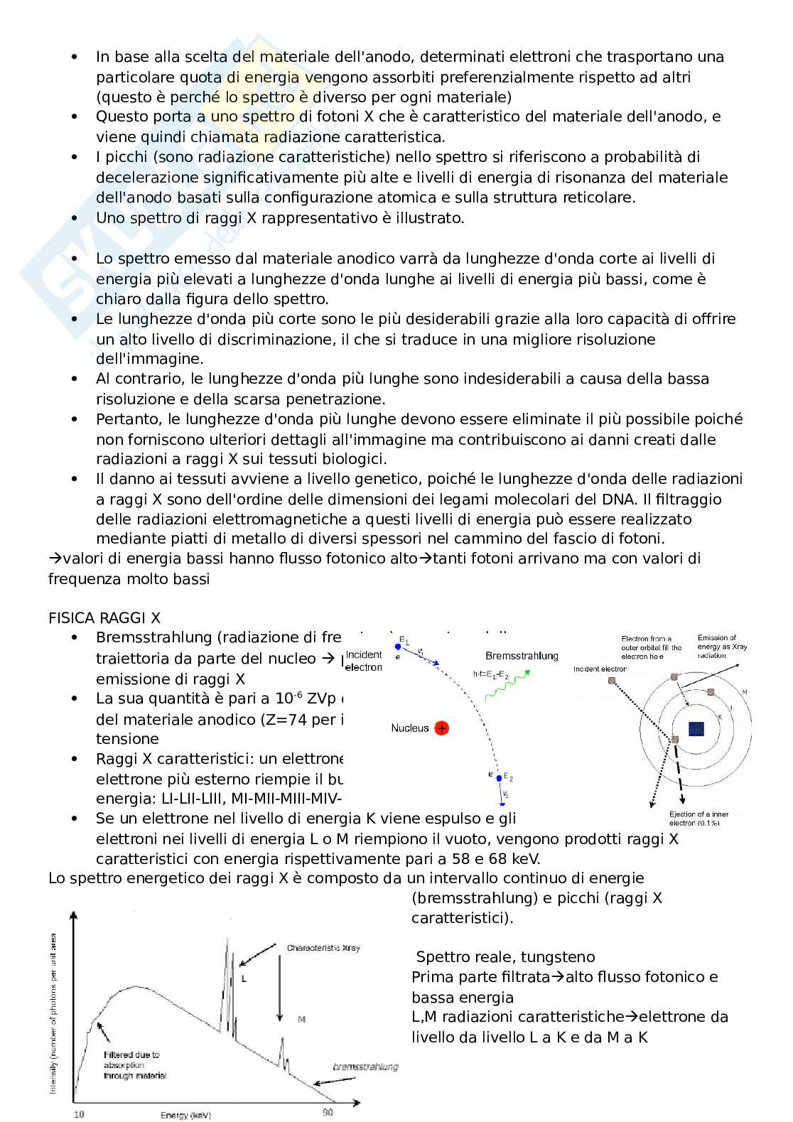 Principi di Bioimmagini Pag. 26