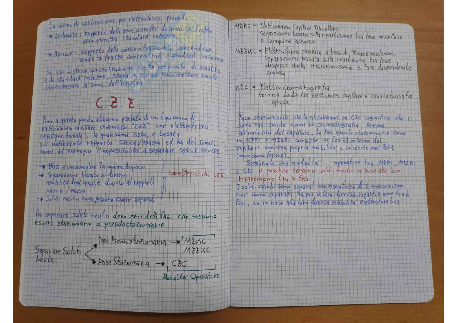 Riassunto esame Chimica analitica farmaecutica, Prof. Orlandini Serena, libro consigliato Riassunto Elettroforesi, Convalida e Disegno Sperimentale, Lorenzo Coppini Pag. 11